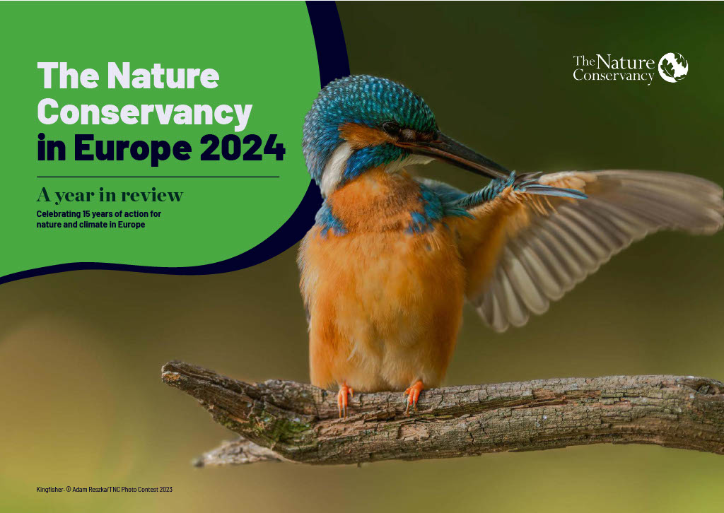 TNC Europe 2024 Year in Review cover.