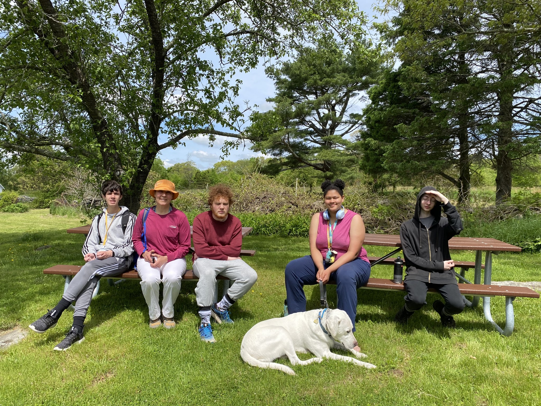 Five young people sit on benches and a dog lays in front of them.