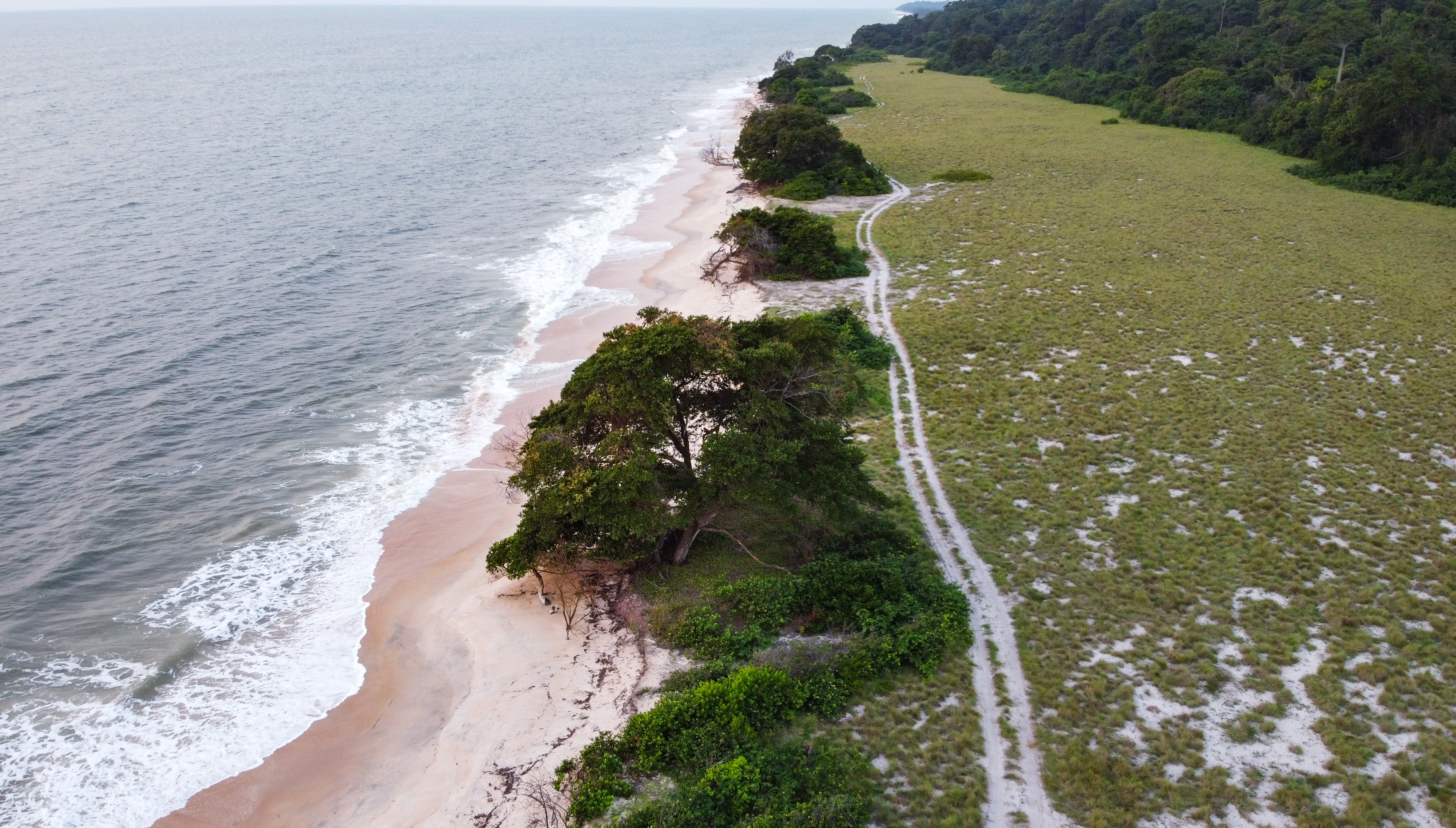 Aerial view of Gabon coastline.