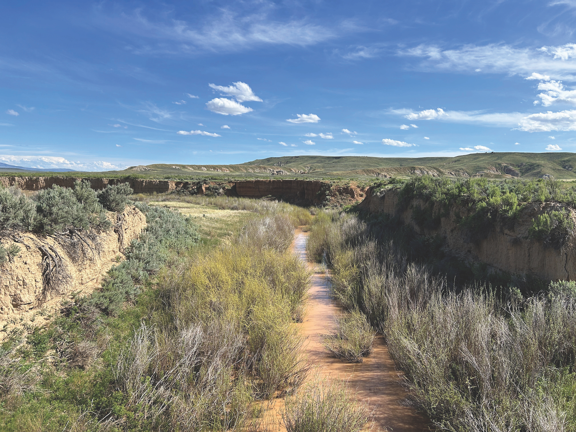 A wide, dry riverbed snakes through a scrubby landscape, with mountains in the distance.