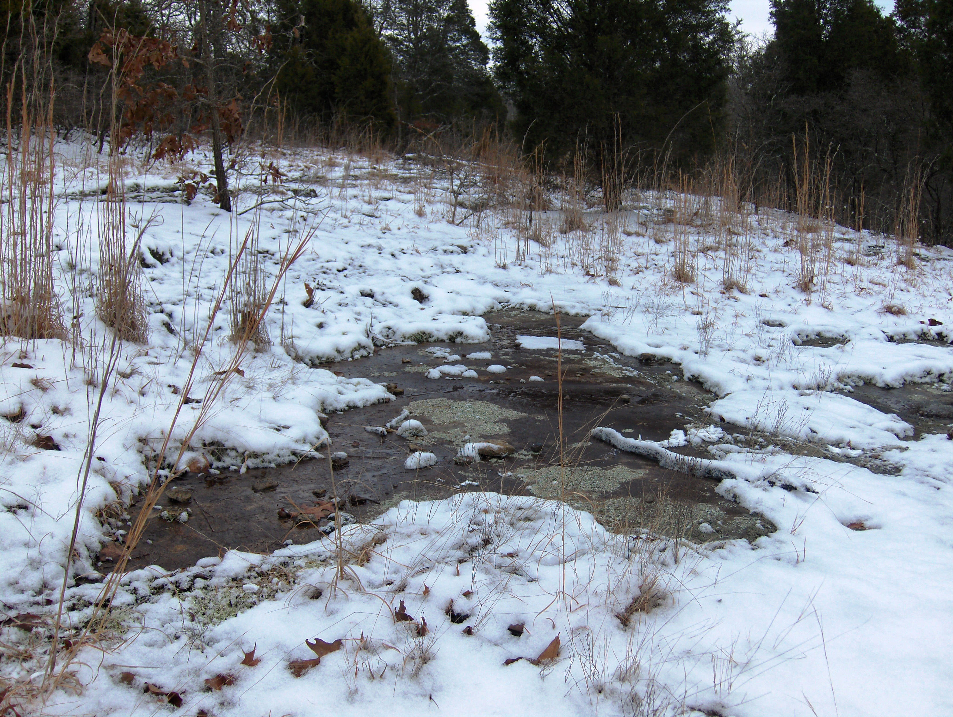 A wetland emerges from a snowy area.