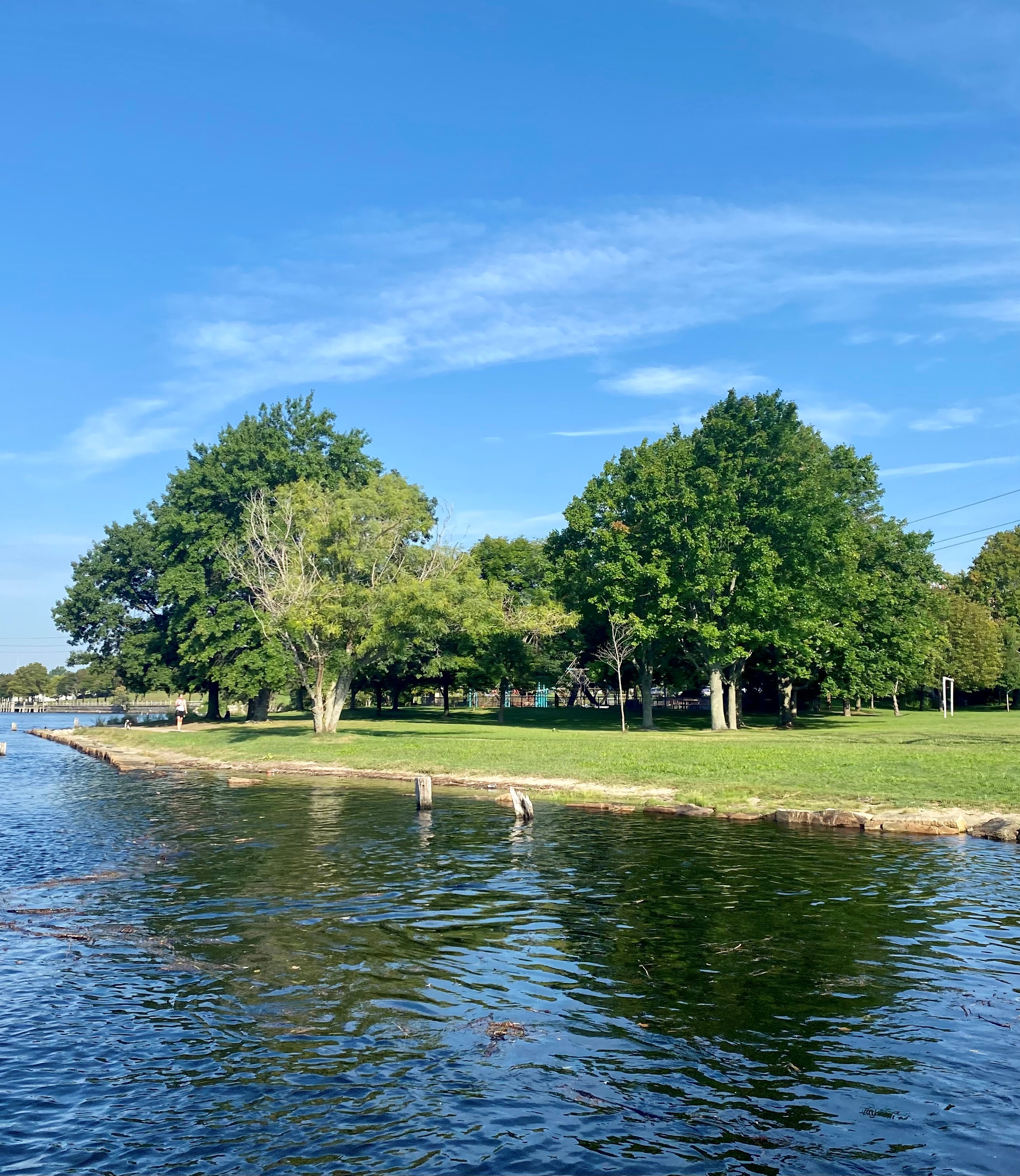 An urban waterfront park with a lawn and tall trees. 