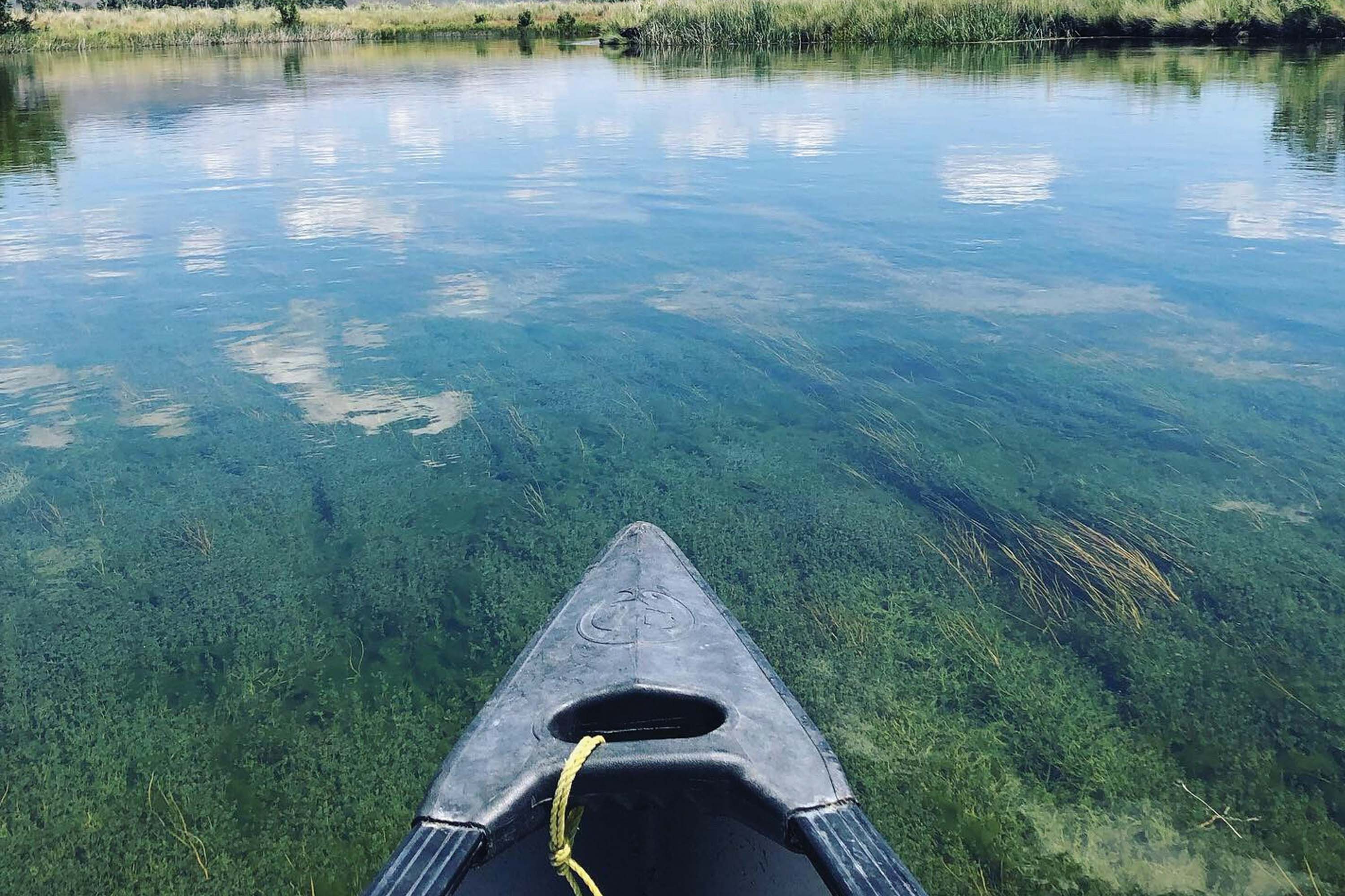 kayak view