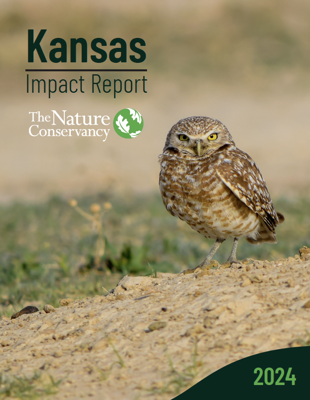 Cover of the Kansas 2024 Impact Report.