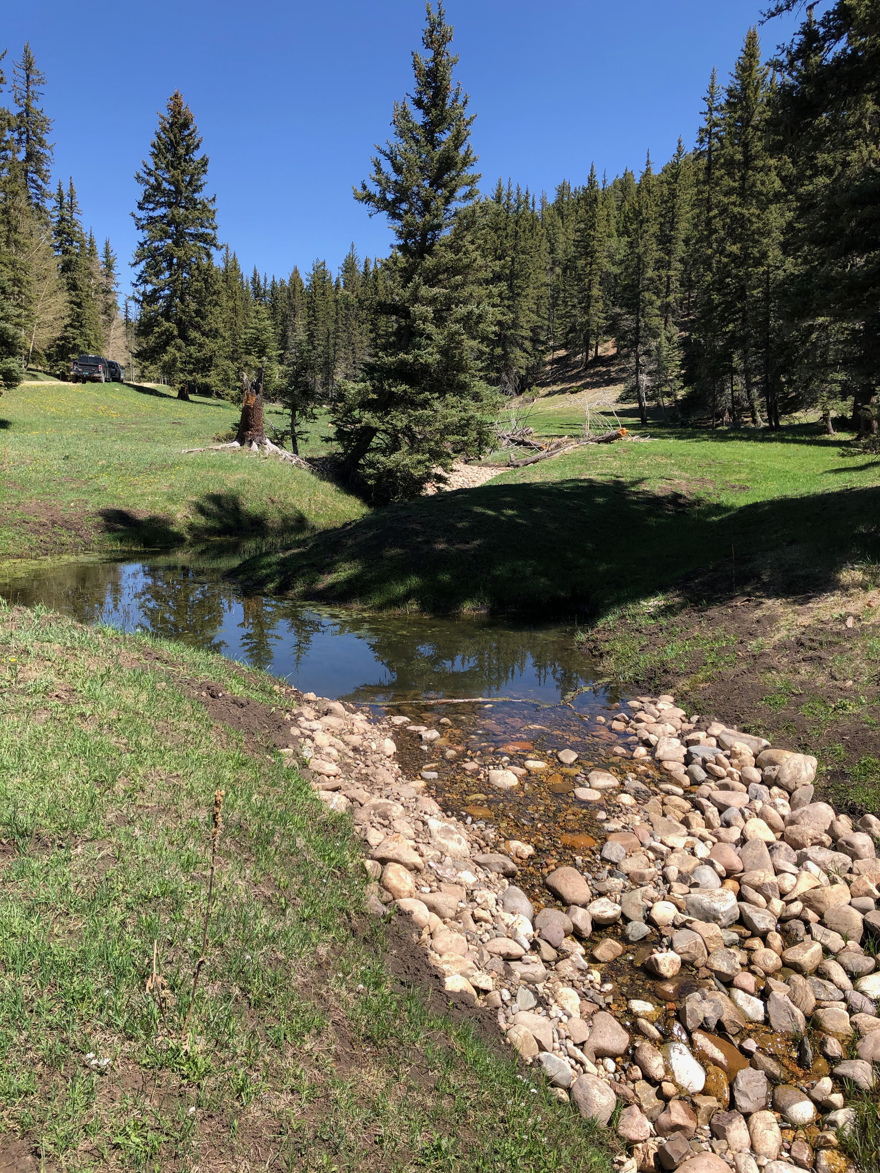 Landscape view of a stream with many rocks in it meandering through a forest and green landscape.