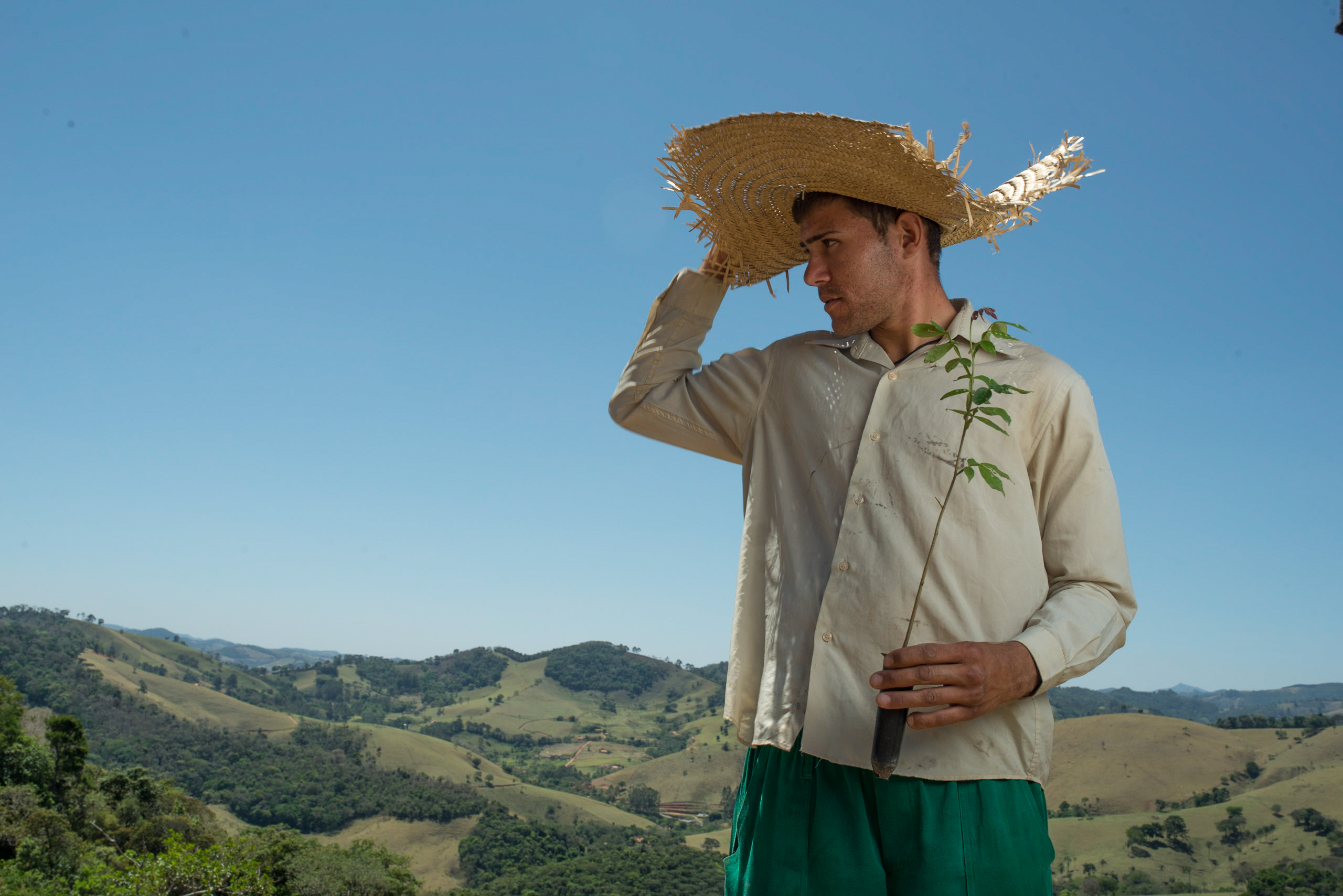 un hombre con sombrero sostiene una planta