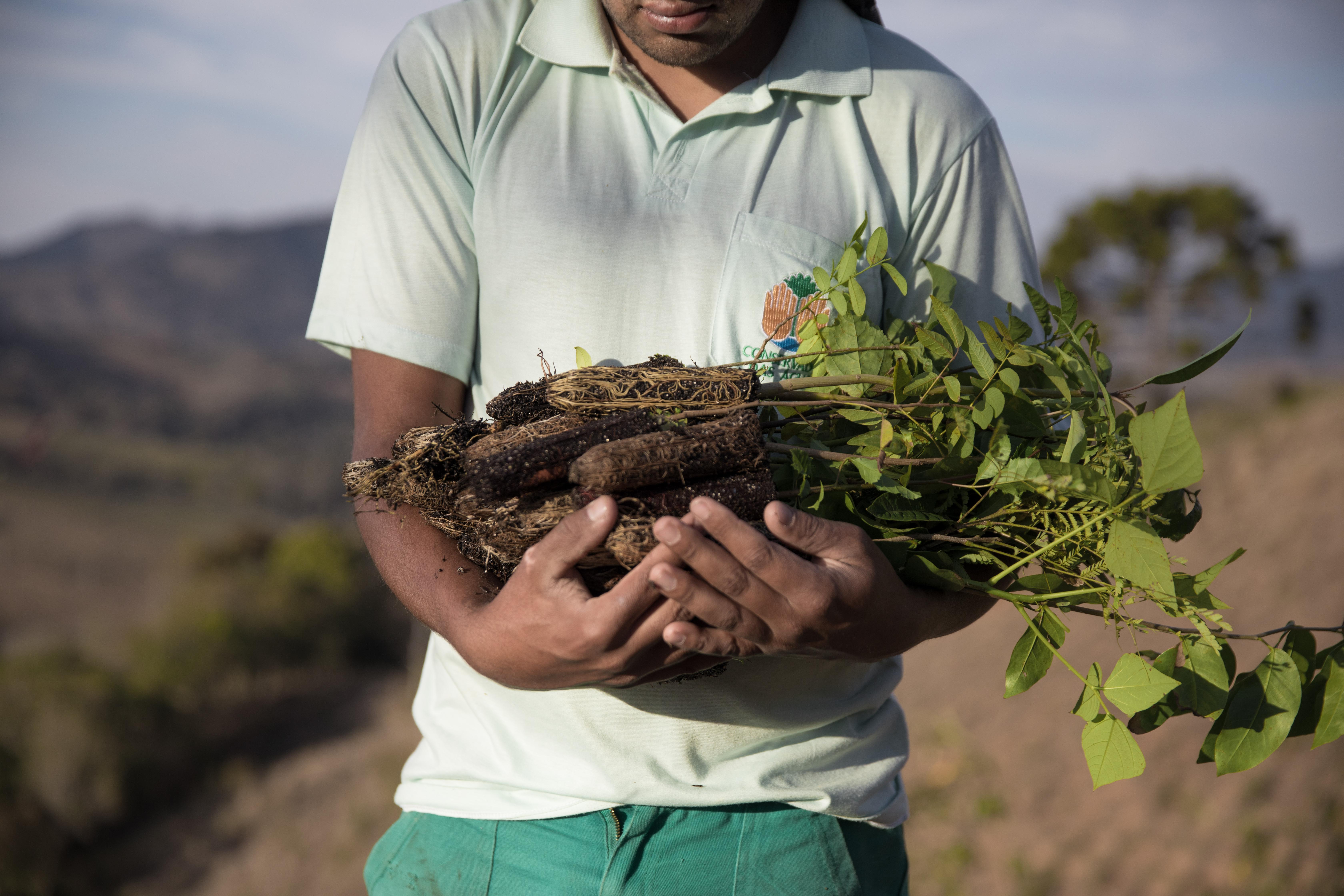 A person with seedlings in his arms.