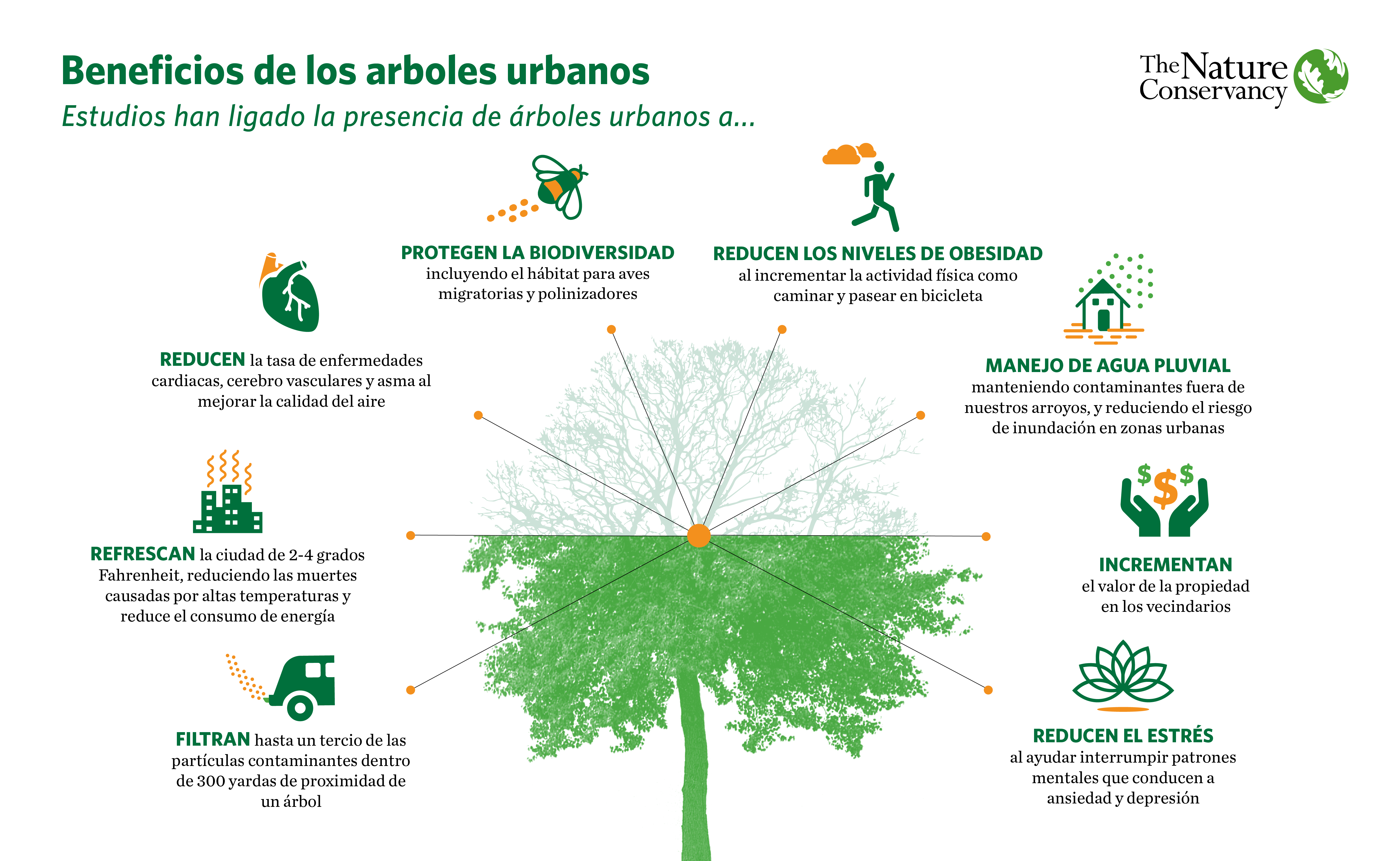 Financiamiento de árboles en pos de la salud