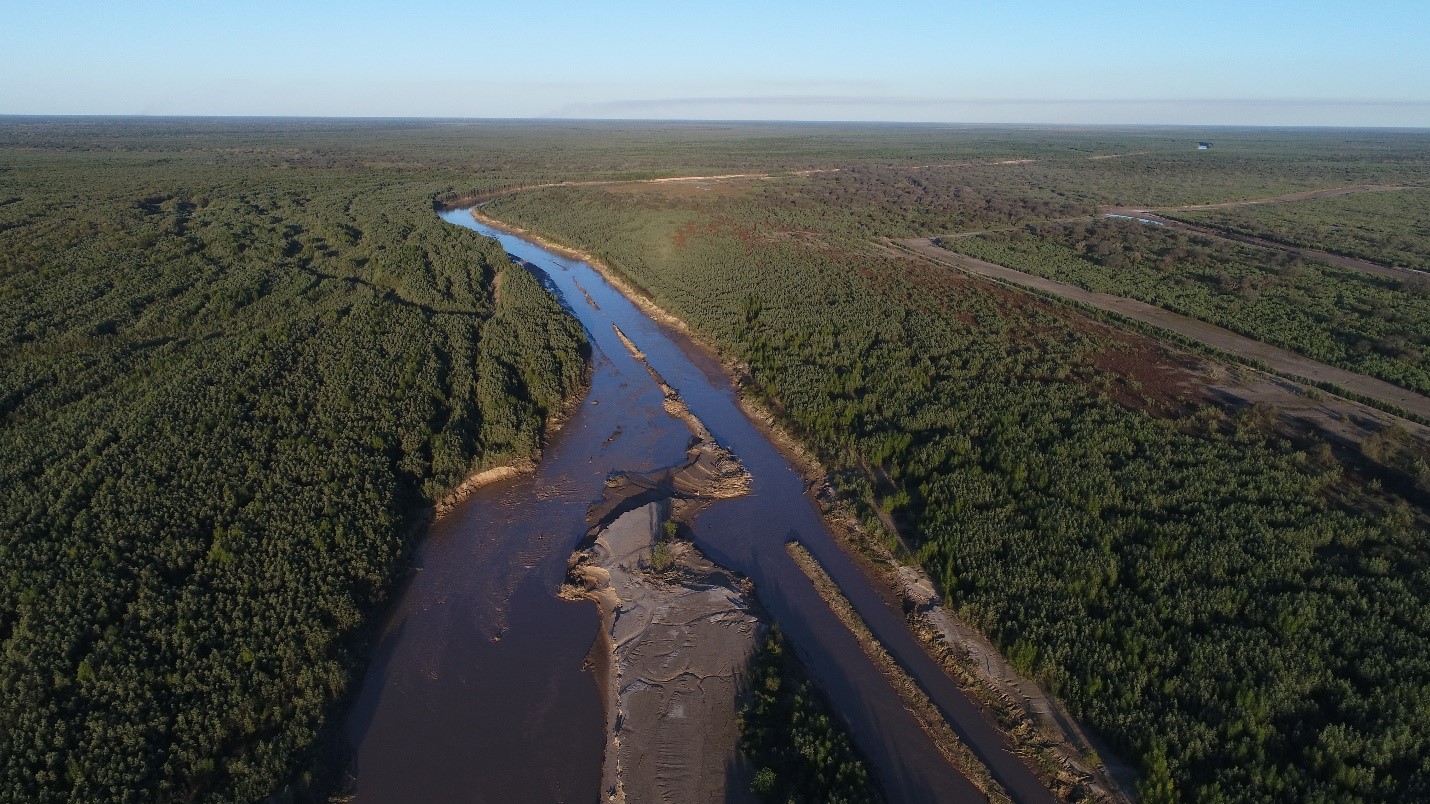 expansive view of a river running through a forest