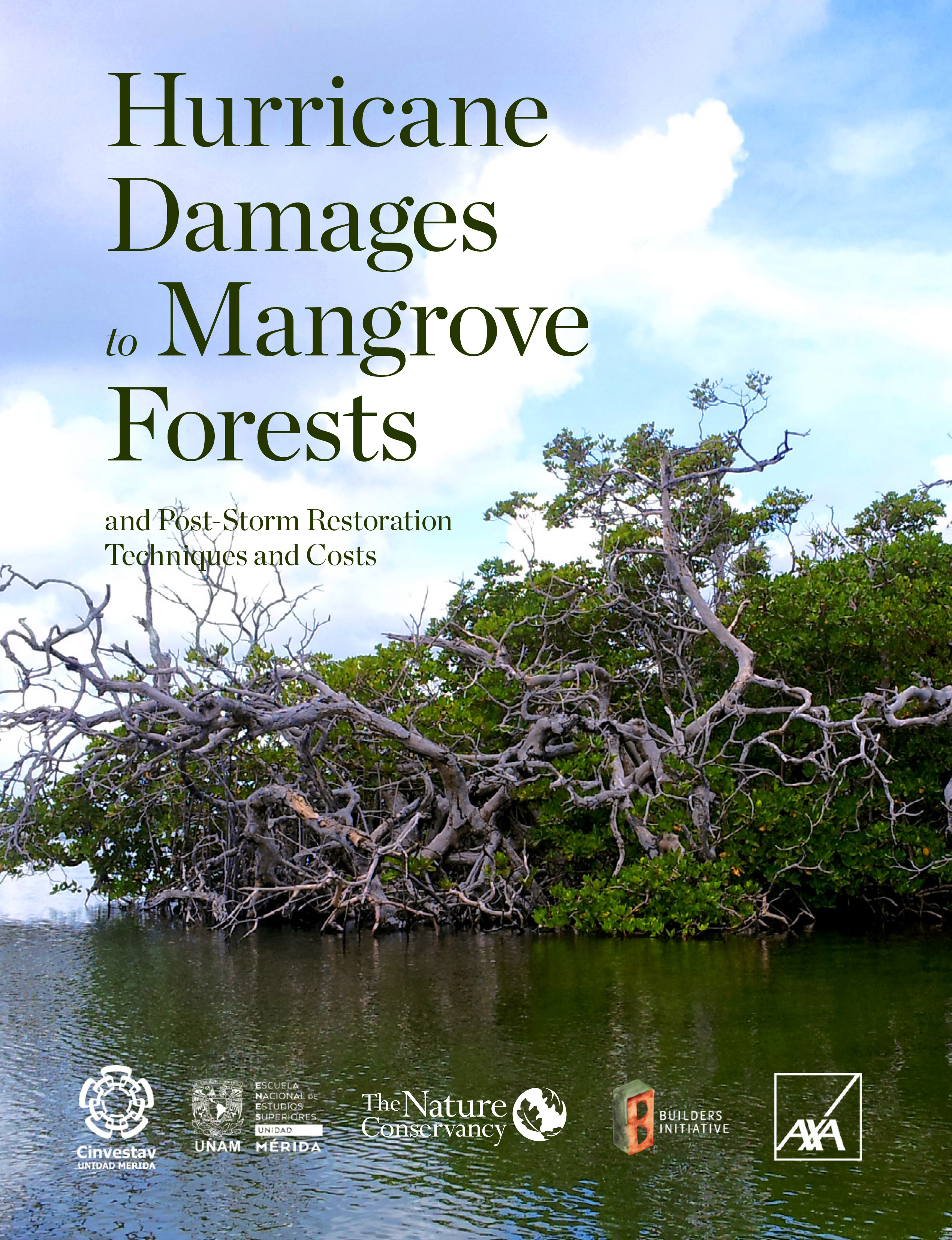 Cover of a TNC report called Hurricane Damages to Mangrove Forests and Post-Storm Restoration Techniques and Costs showing a large mangrove with tangled branches on the edge of a body of water.