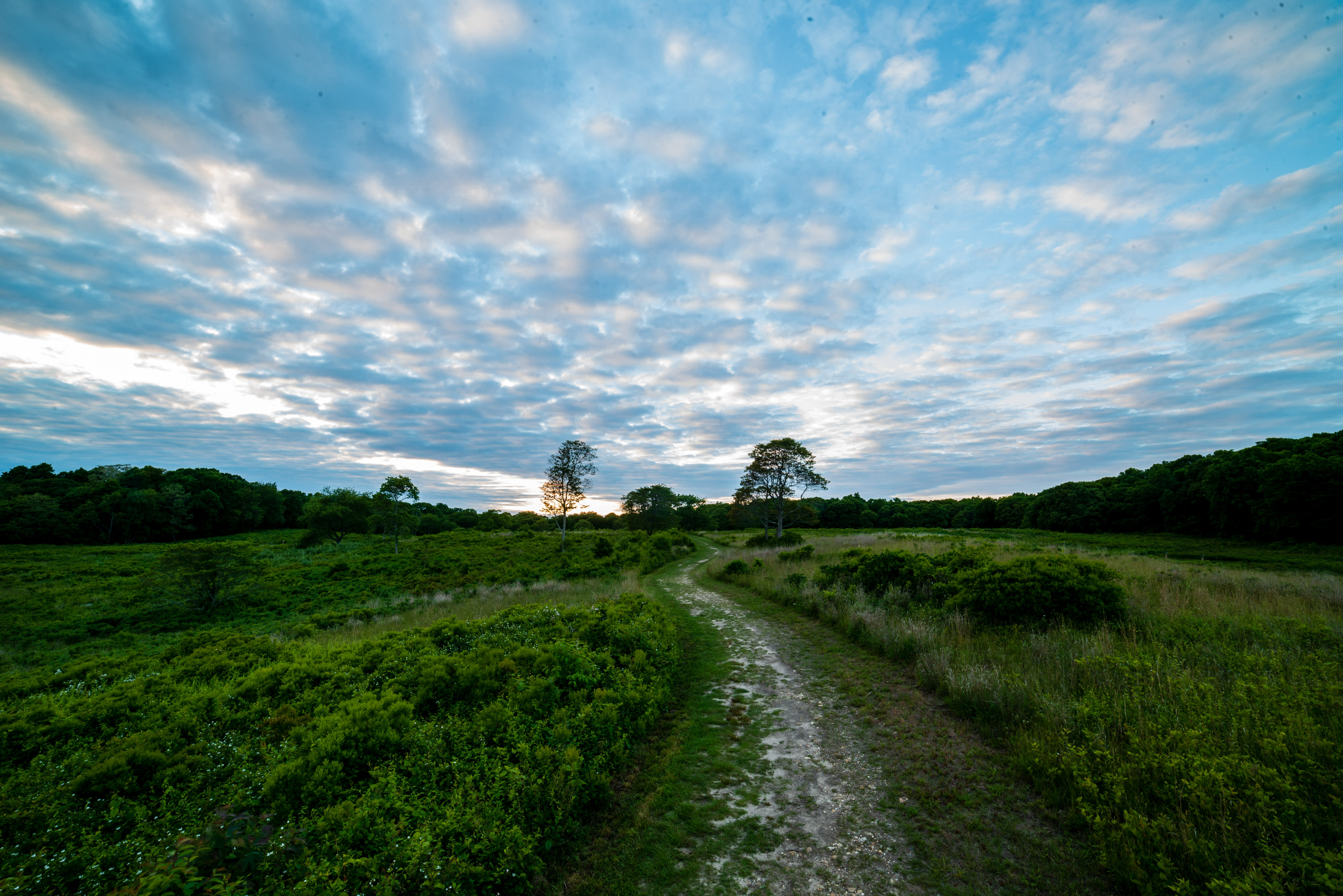 A trail winding through a green meadow with a blue sky.