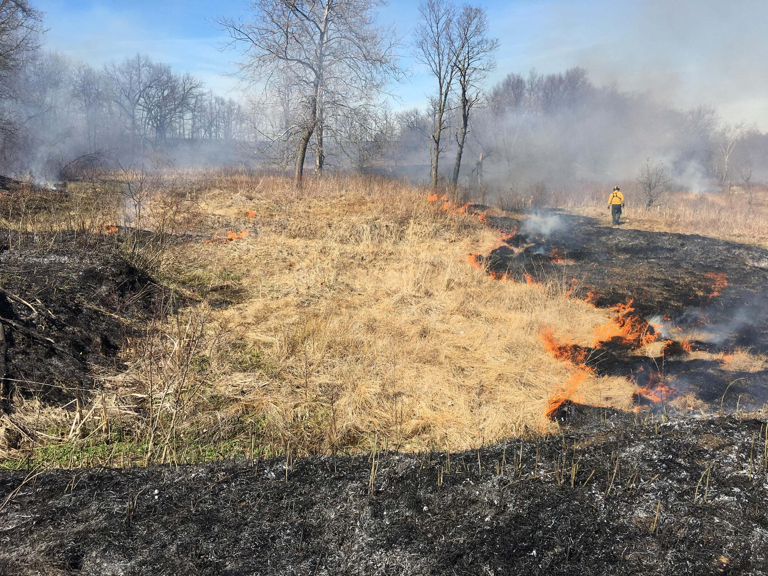 Burn crew member keeps watchful eye on prescribed fire in prairie.