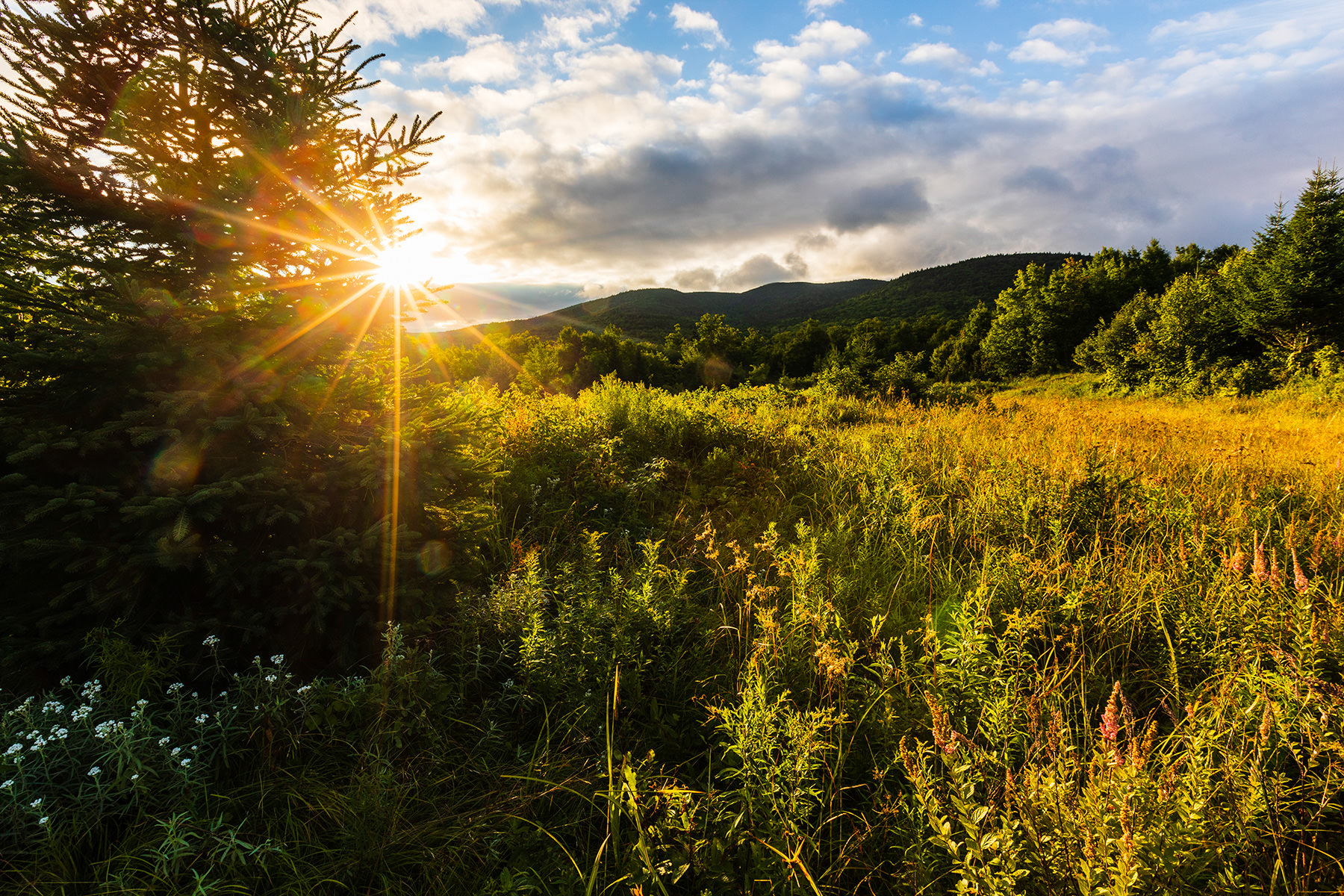 The sun rises above a meadow and mountain.