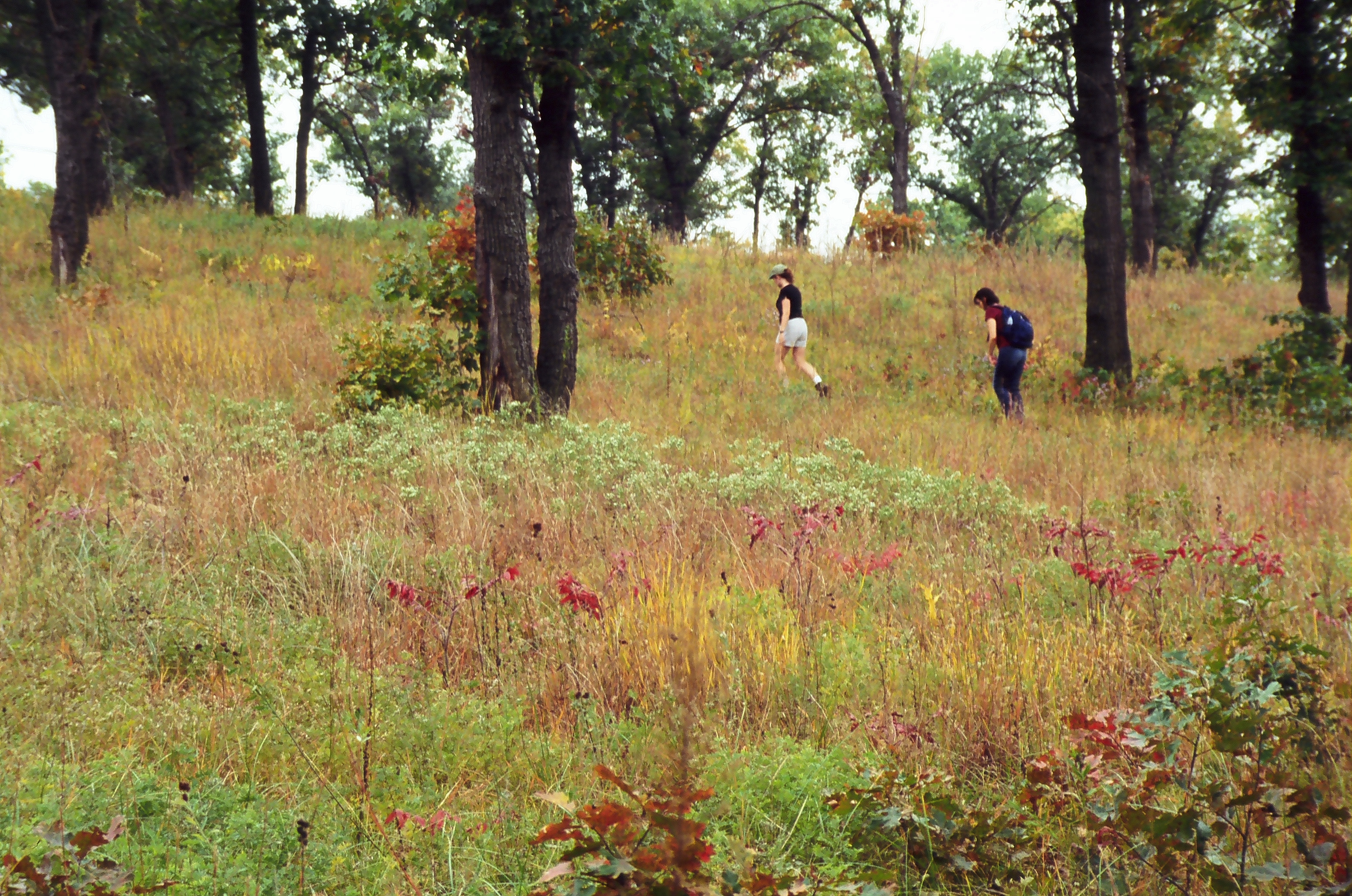 Two people hiking.