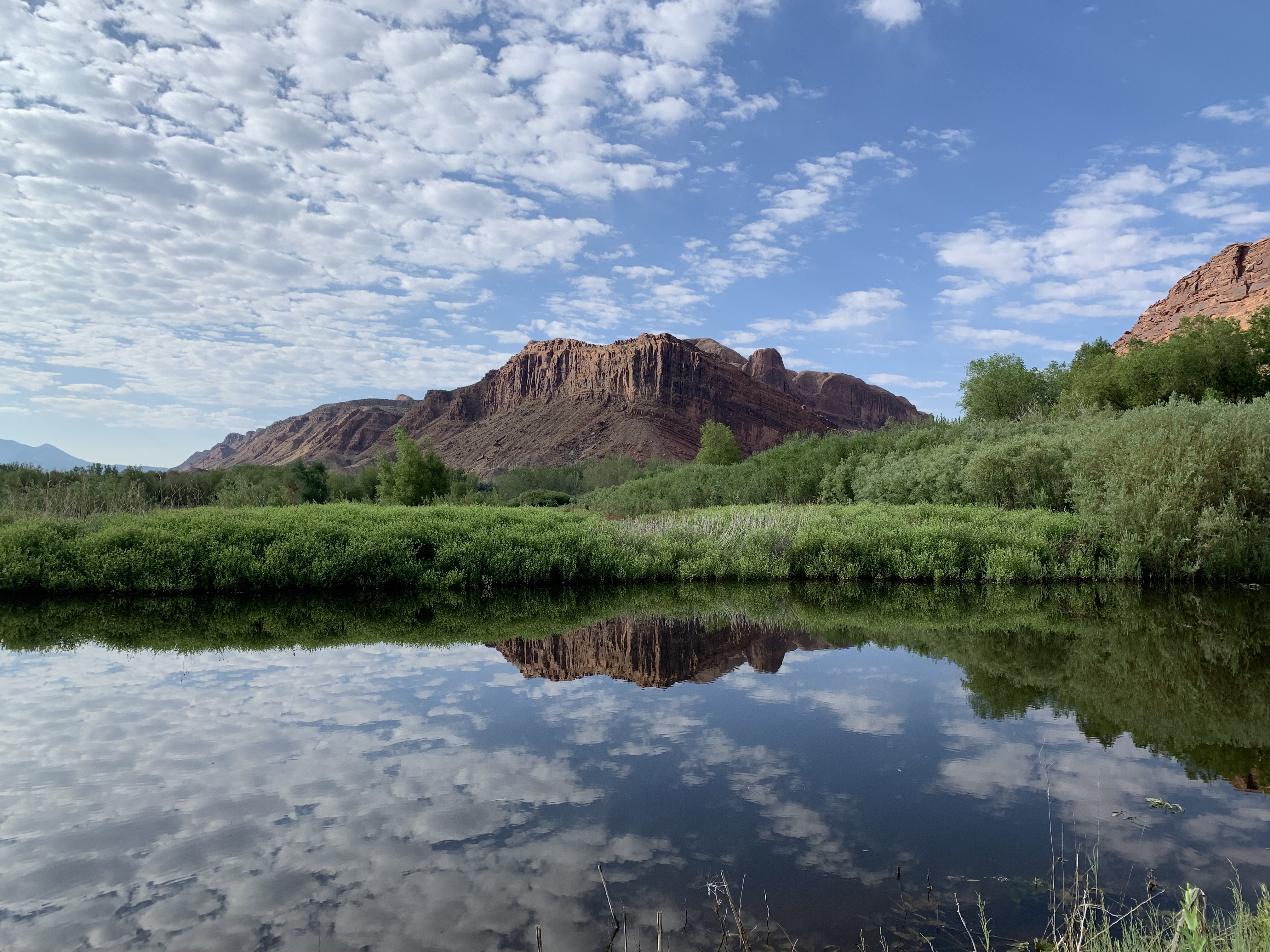 View of a red-rock mesa in the distance with a flat body of water in the foreground and white puffy clouds in a blue sky that is reflected in the calm water.