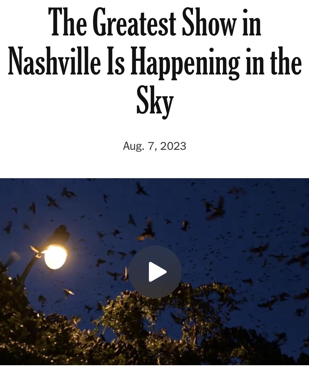 A New York Times article features a video.