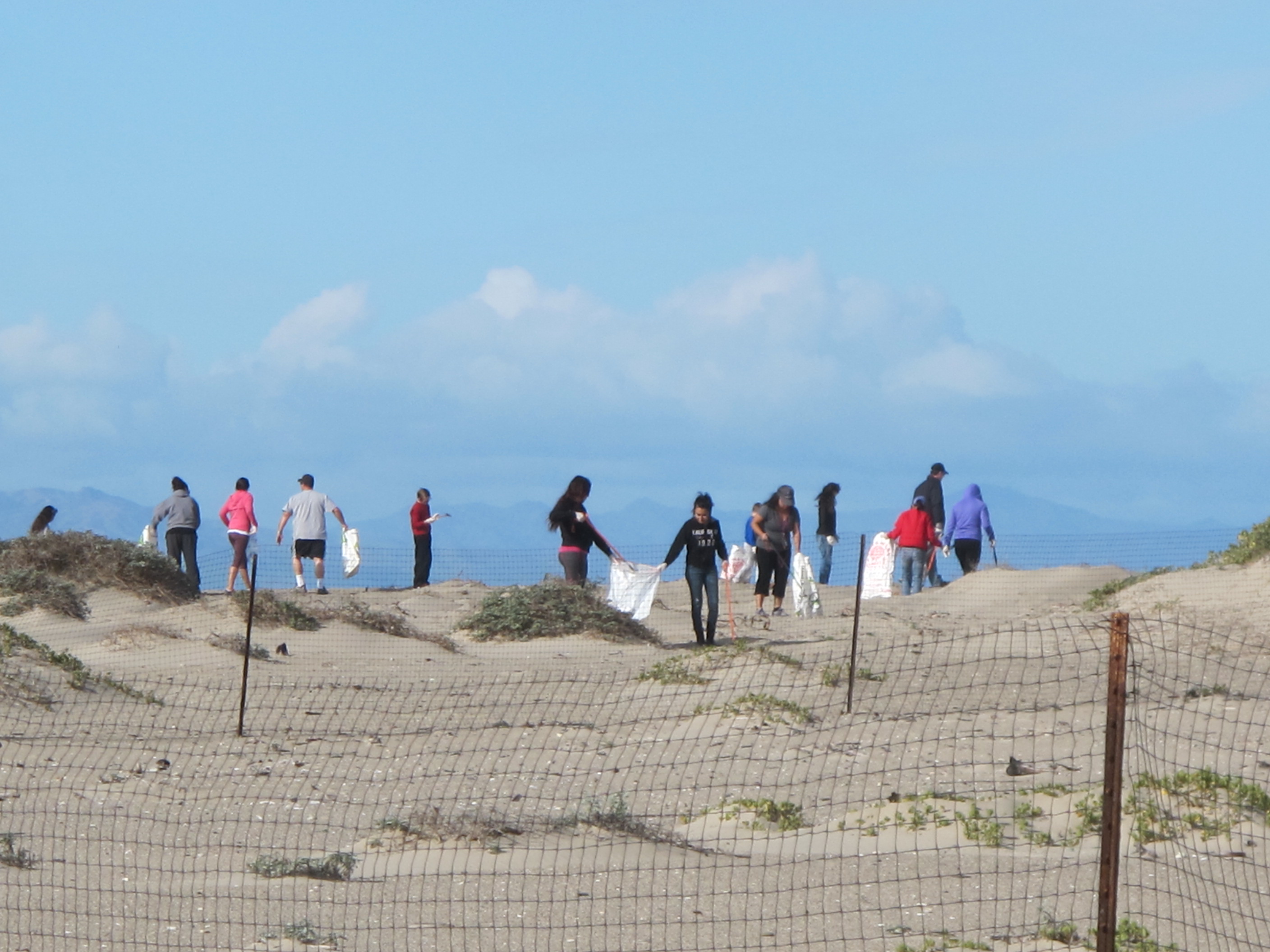 Picking up trash on Ormond Beach