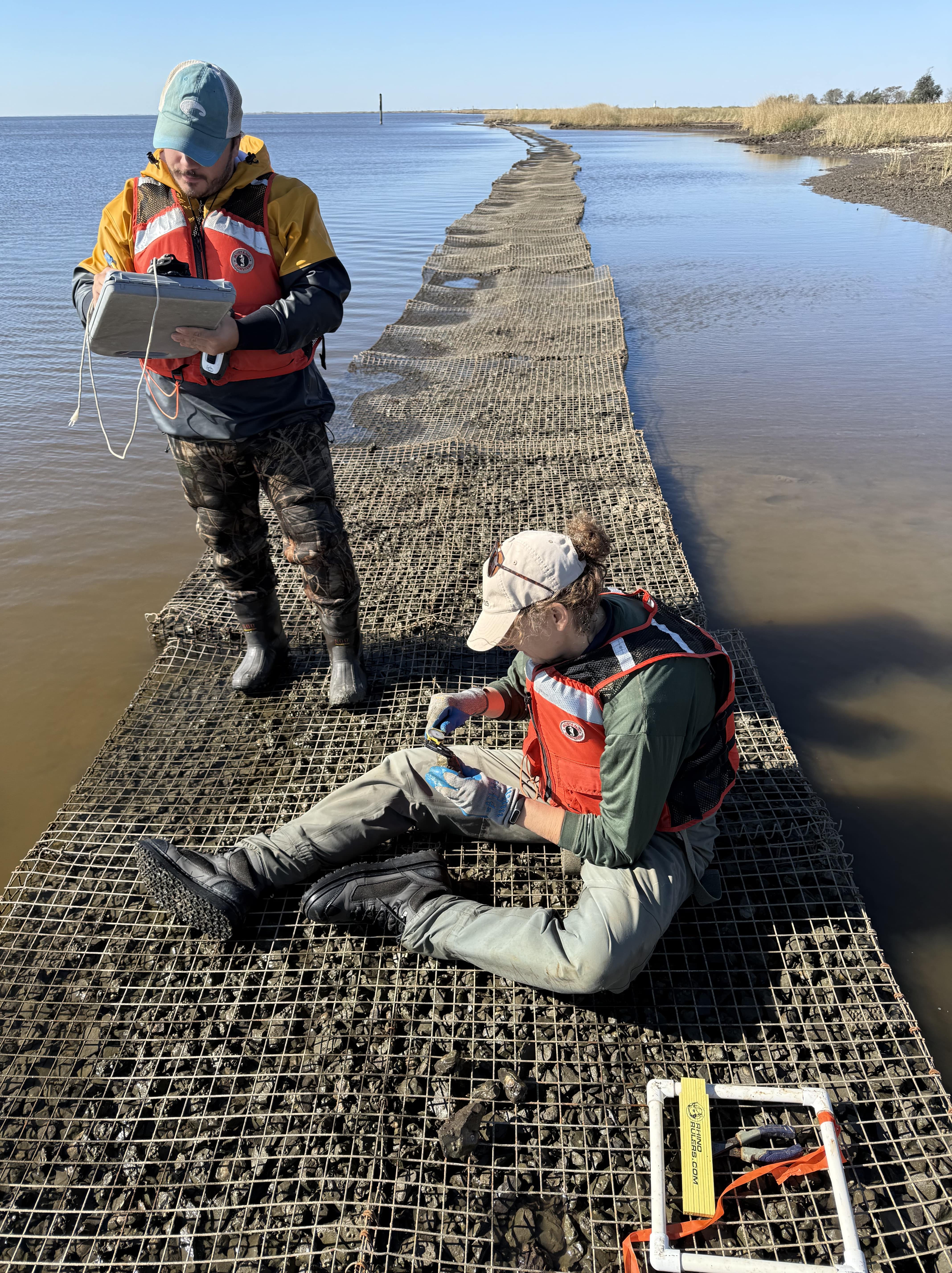 Two people standing on a fortified reef record information.