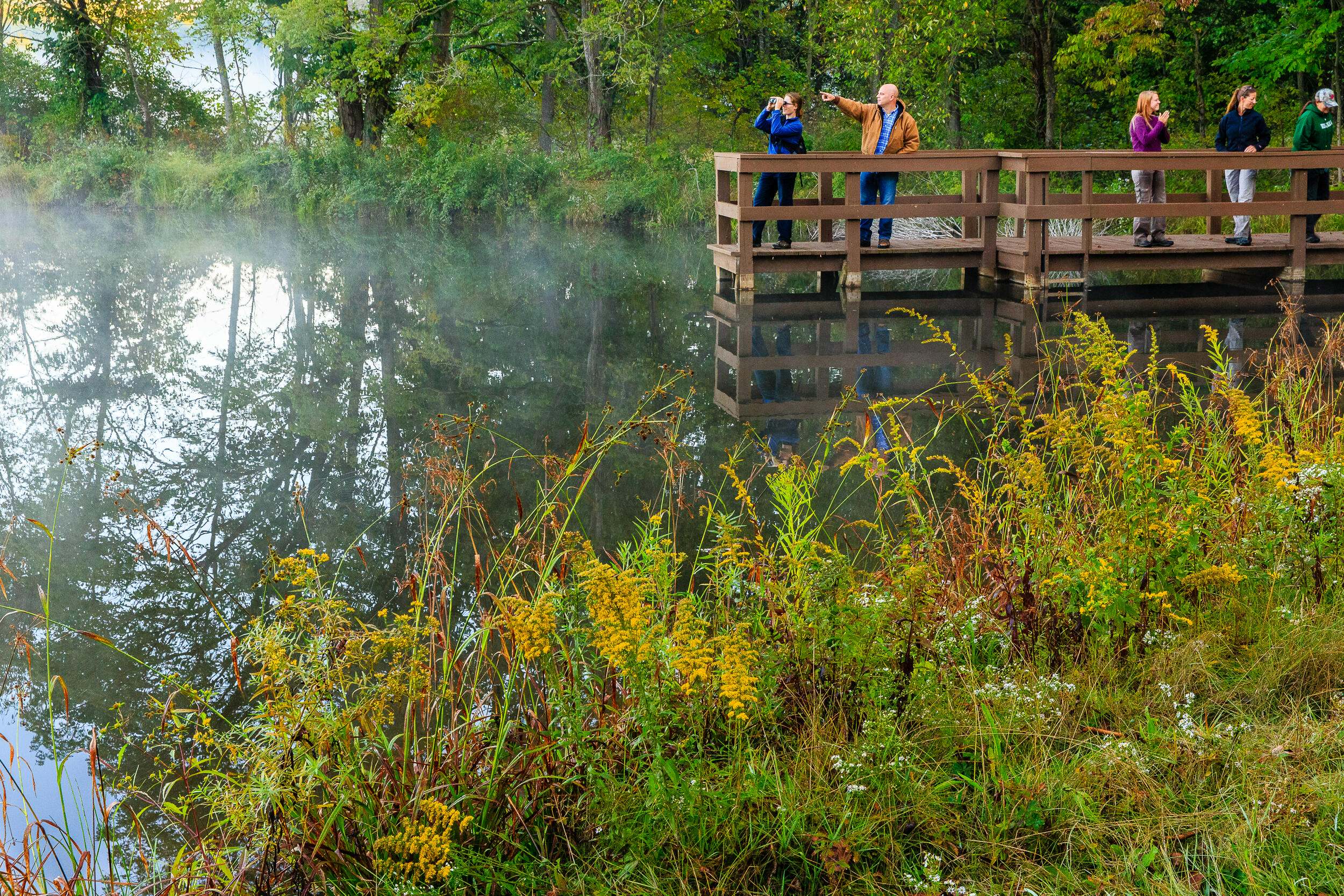 People standing on a wooden dock overlooking a wooded pond.