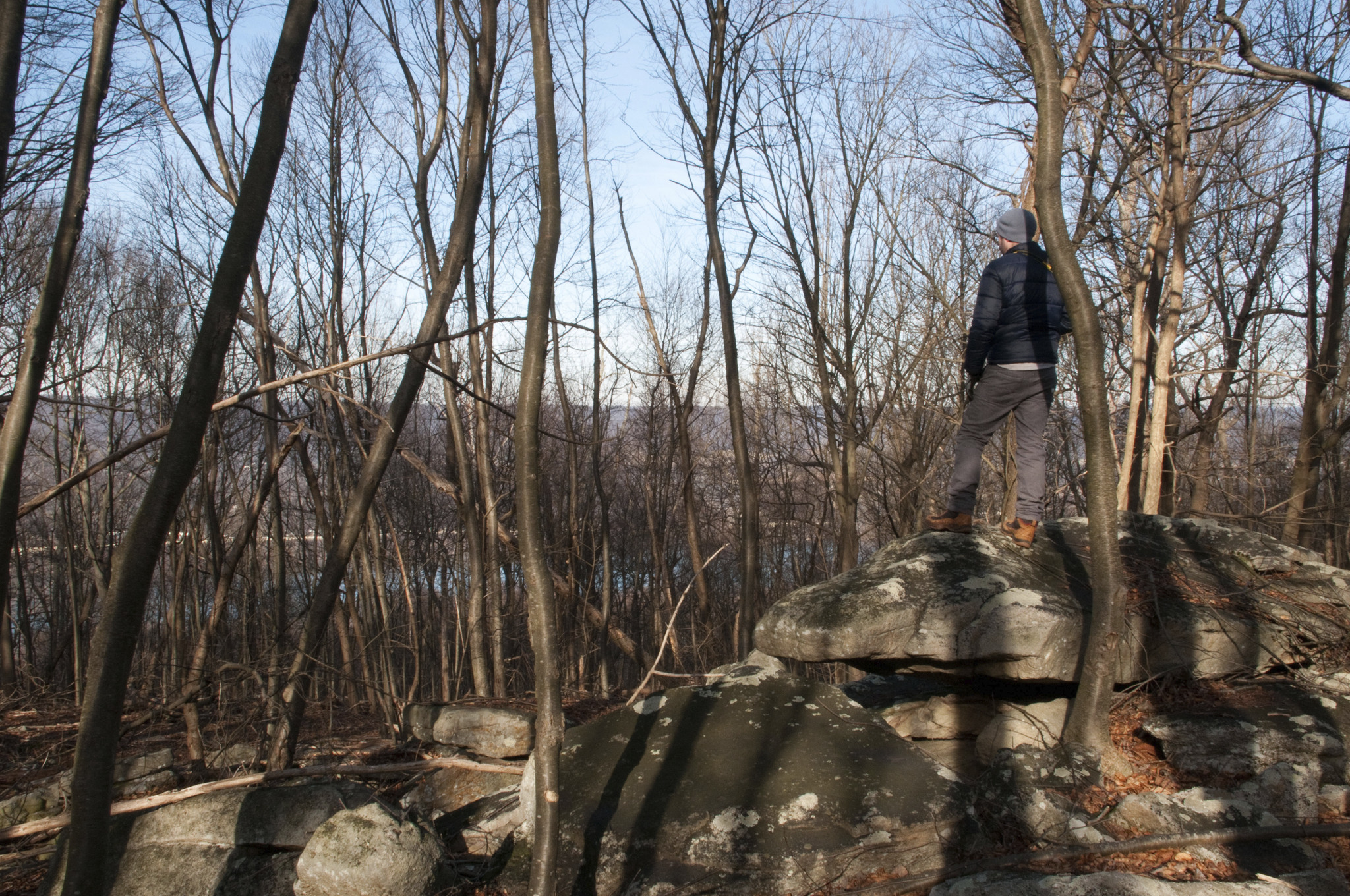 A person stands on a rock outcropping looking out at a valley landscape. Their view is obscured by a thick stand of trees.