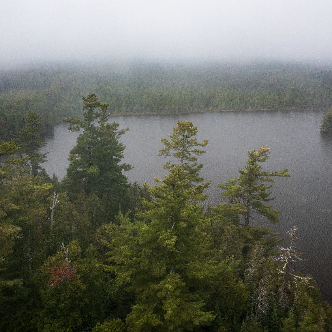 Aerial view of a foggy forest and lake.