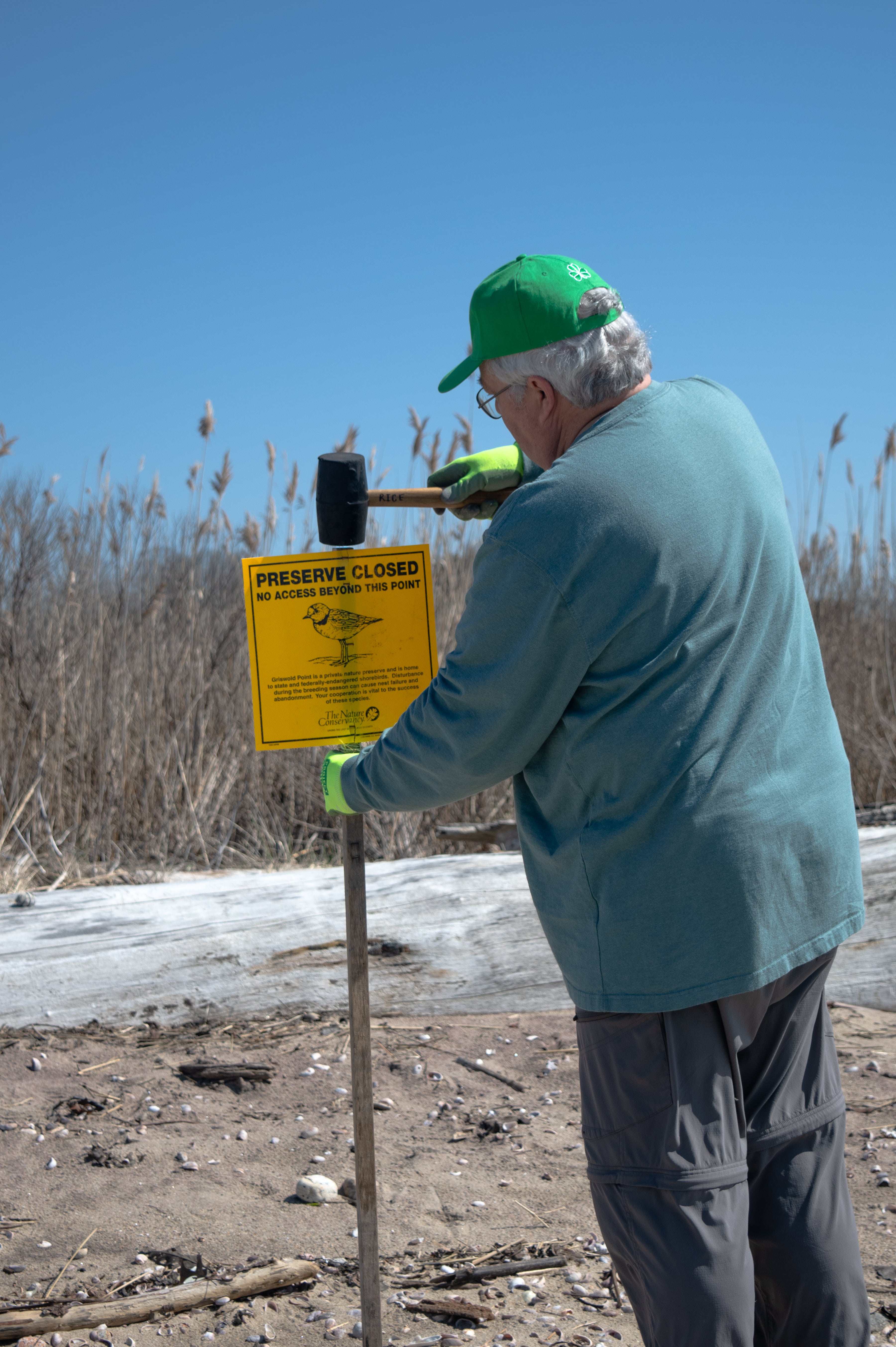 A person wearing a green hat hammers a sign into sandy soil.