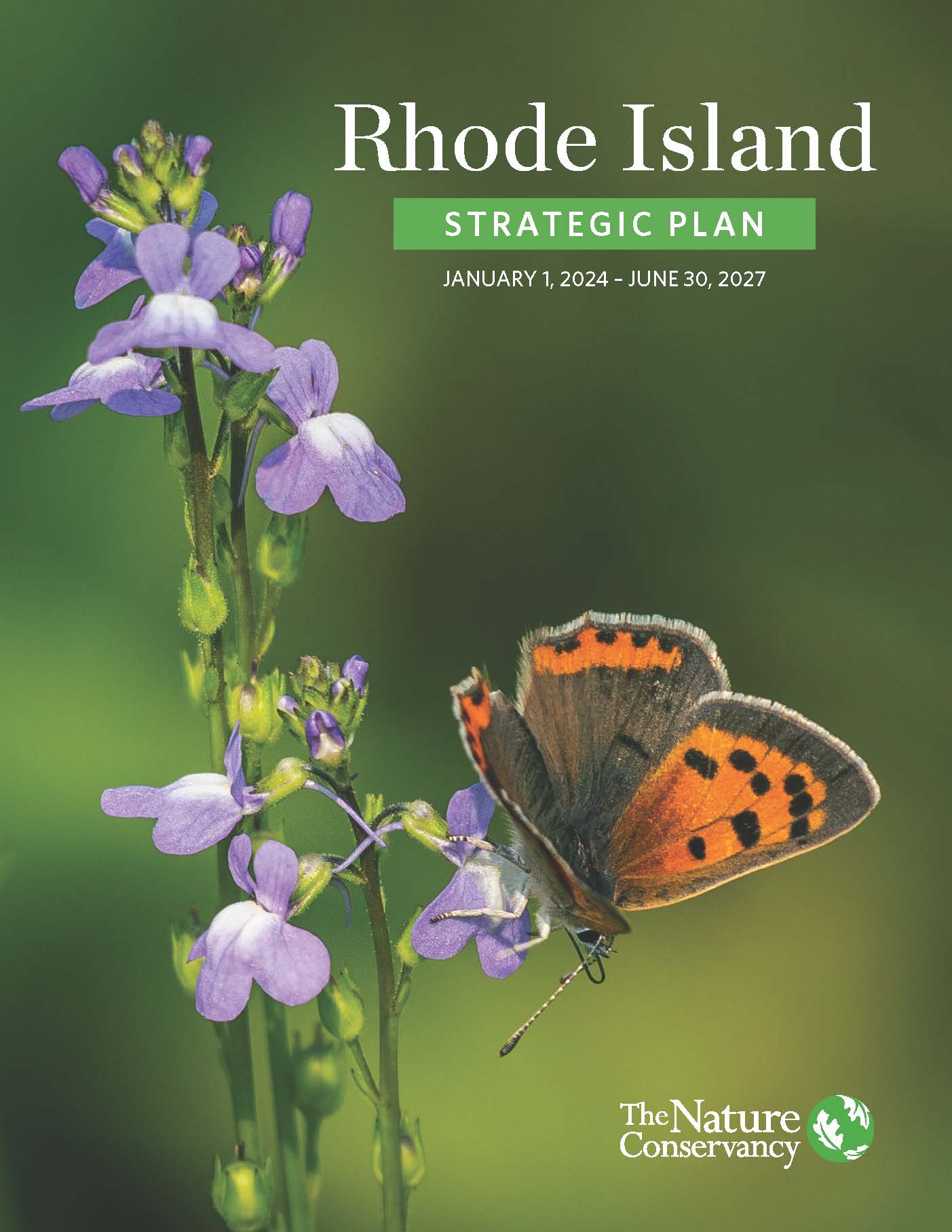 A spike of tiny purple flowers with an orange butterfly