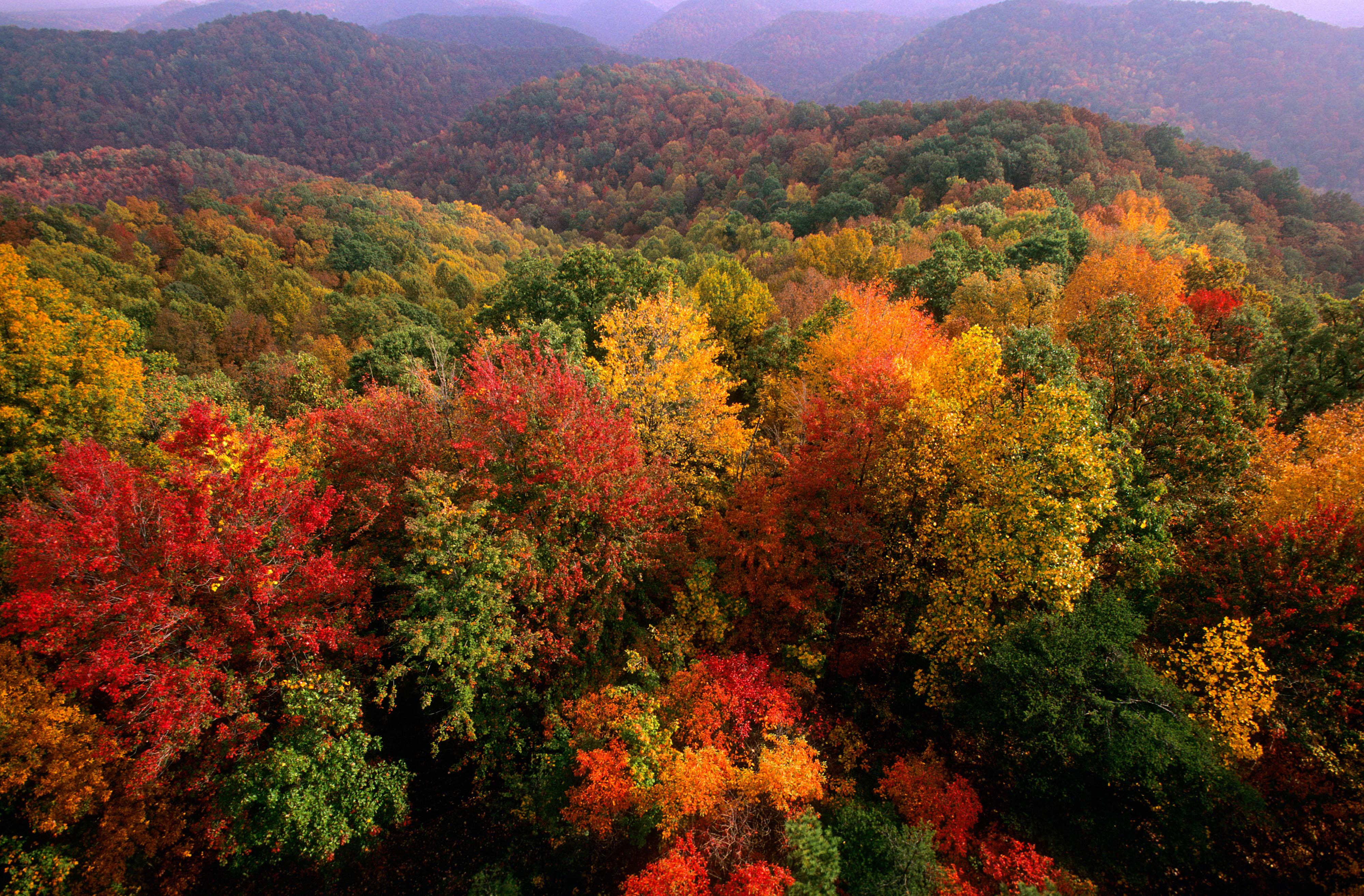 Fall foliage highlights a forested landscape.