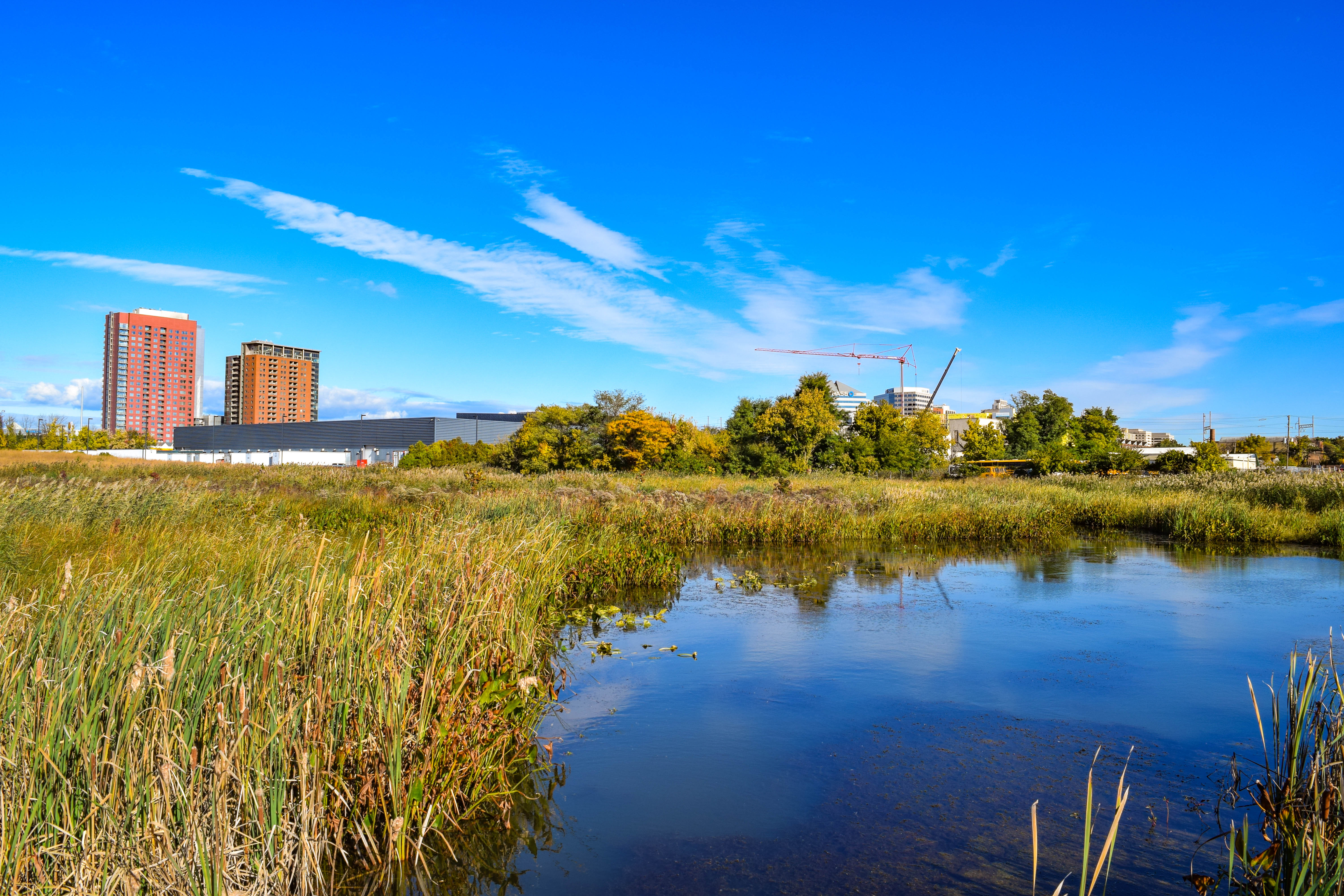 A finished park with 14 acres of wetlands.