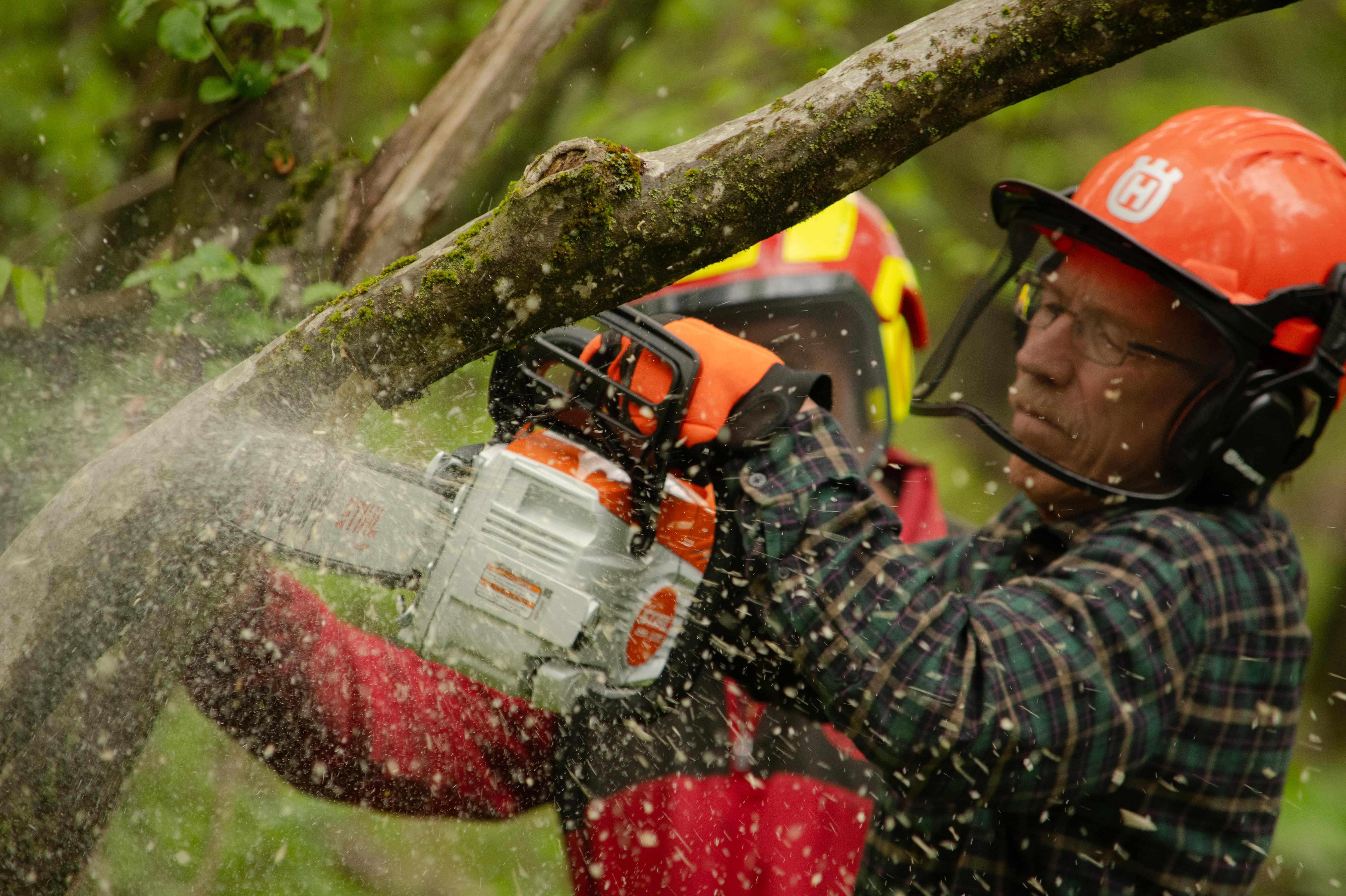 A person wearing an orange helmet cuts a tree branch with a chainsaw.