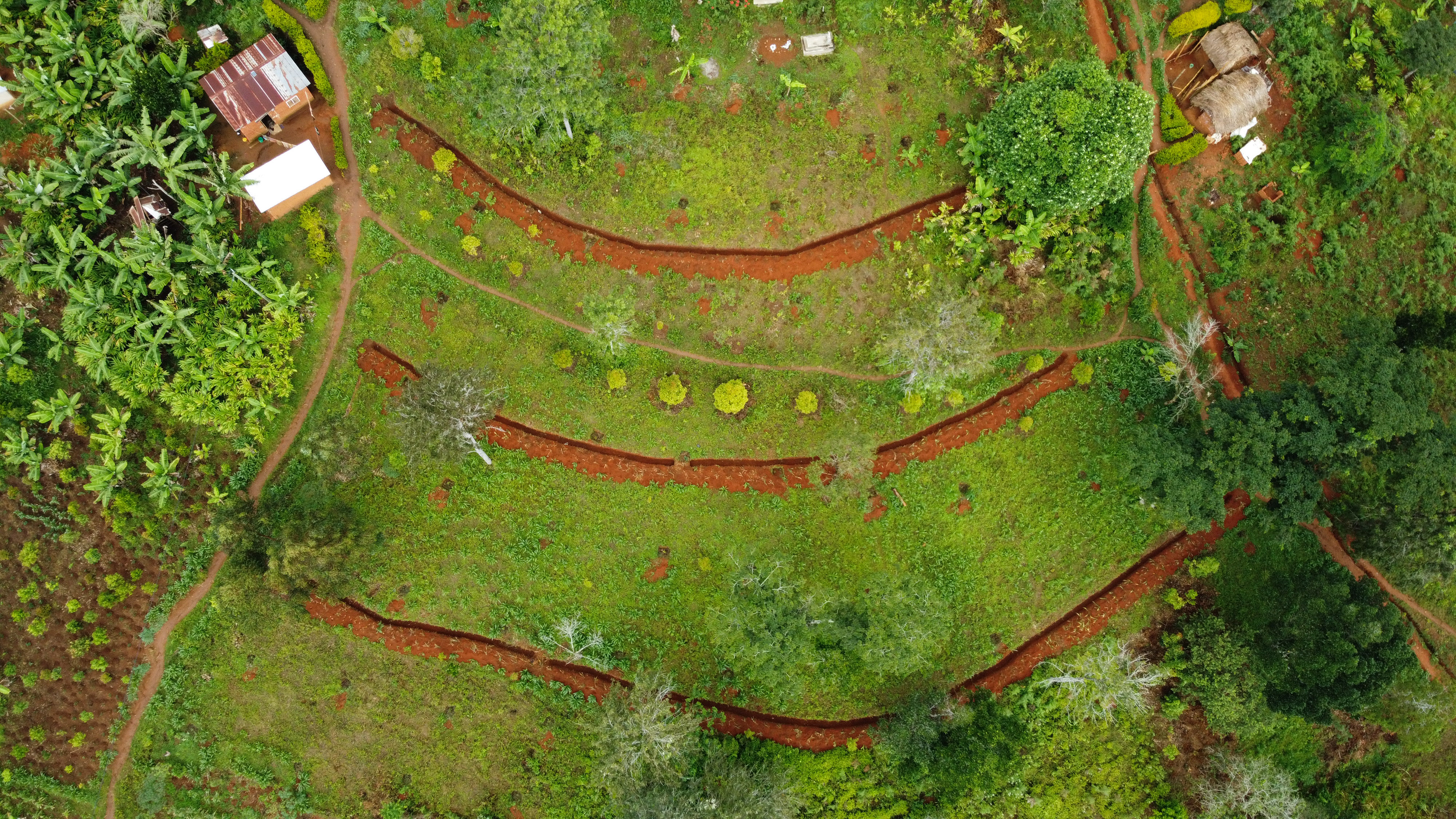 aerial view on a farm in Tanzania's East Usambara Mountains