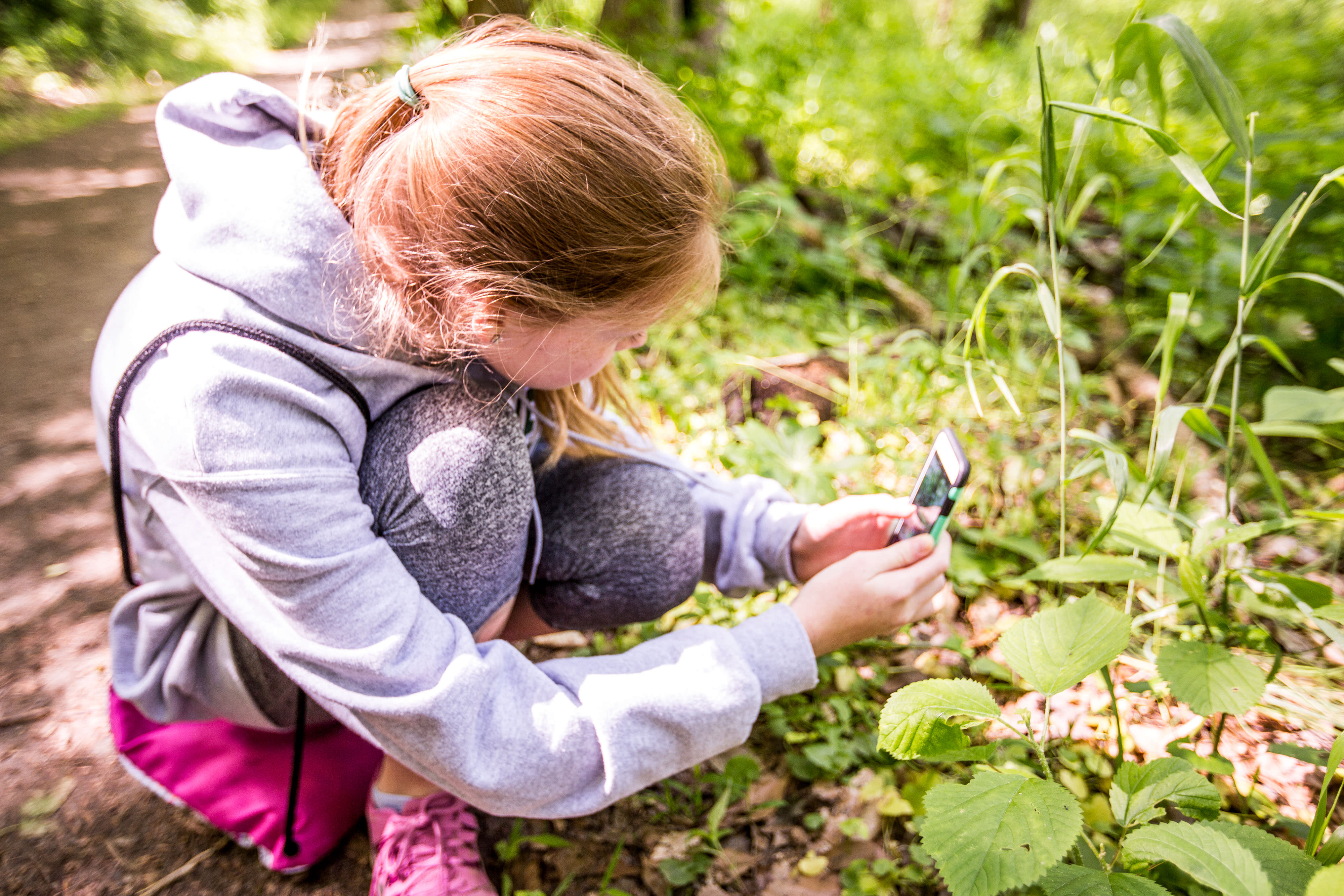 A girl crouches down and uses a smartphone to take a photo of a plant.