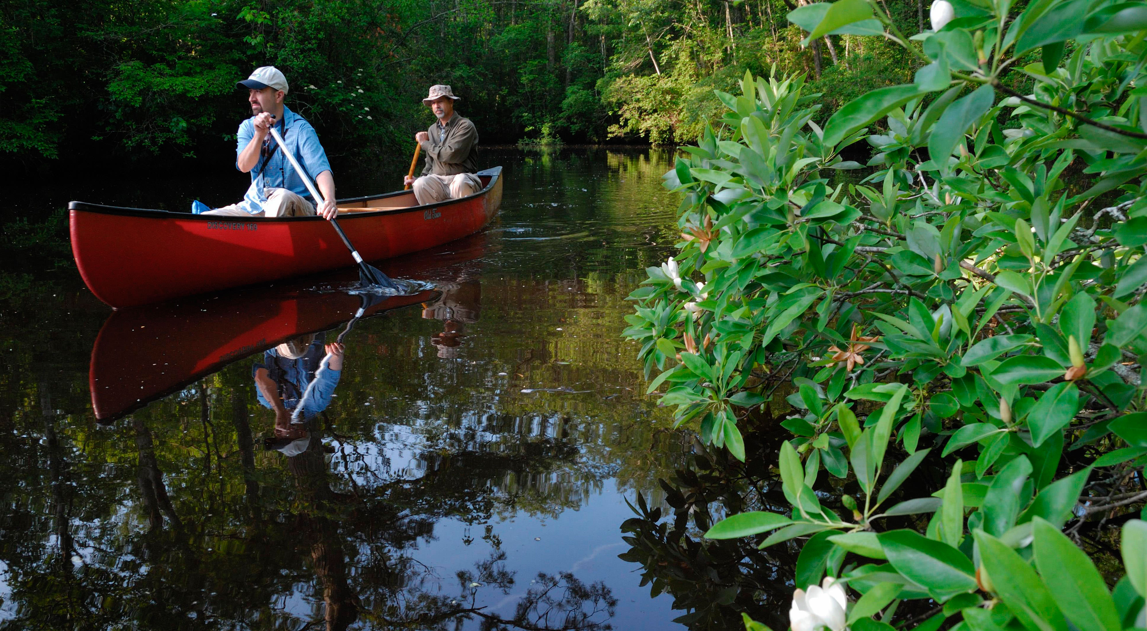 Two people paddle a canoe through still waters