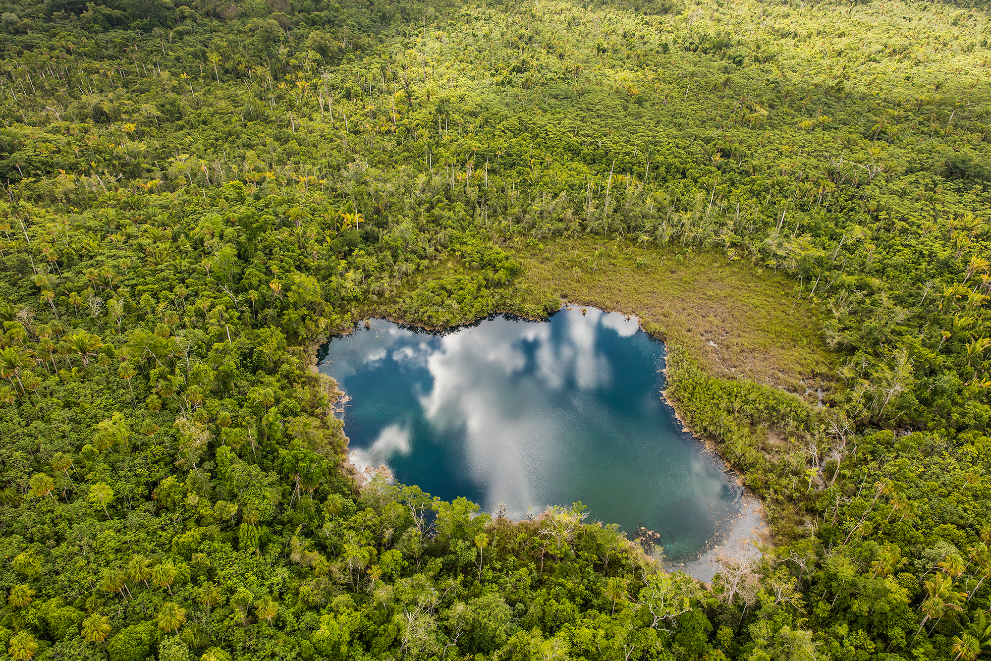 Imagen aérea de la selva en Belice
