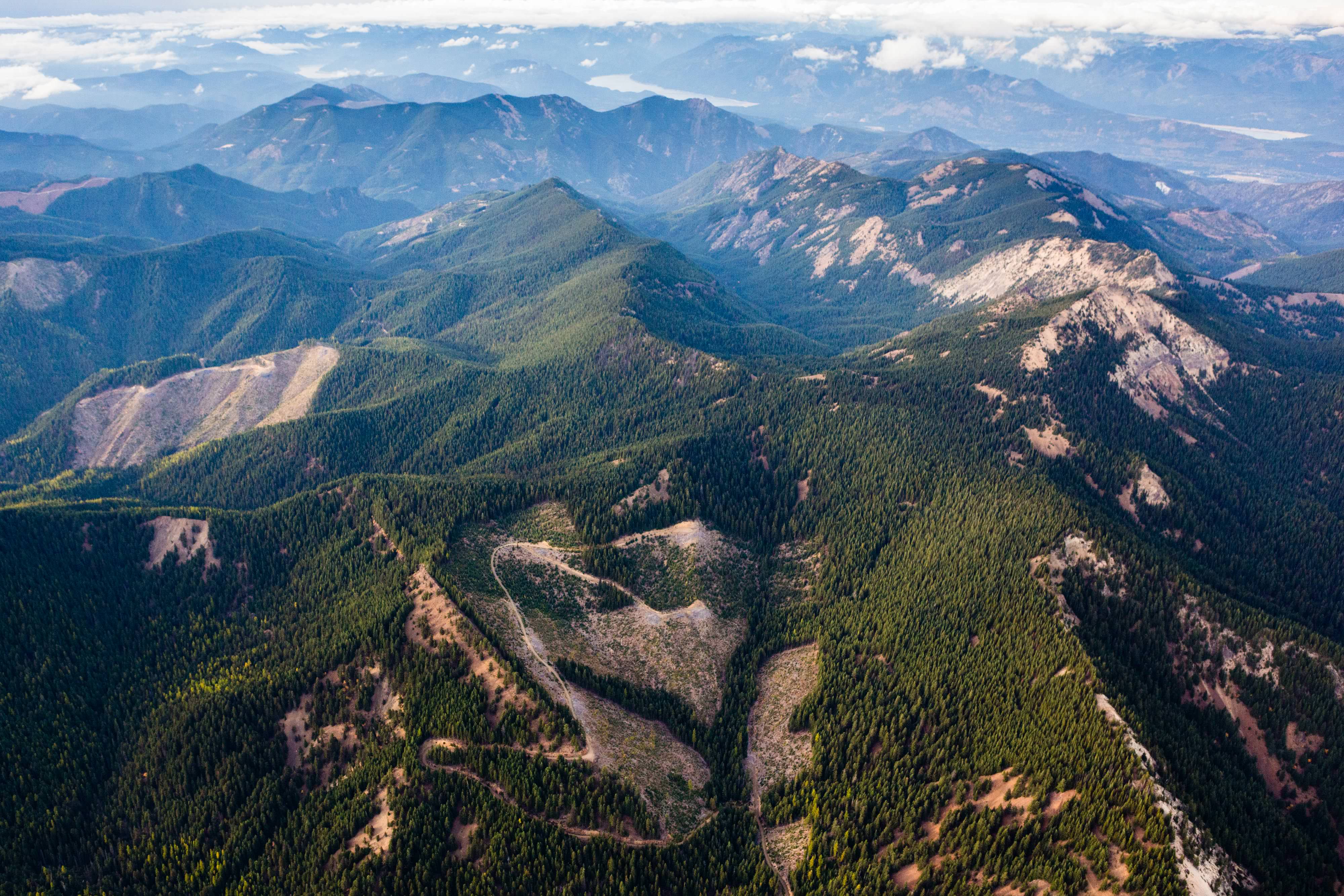 Aerial view of forested mountains.