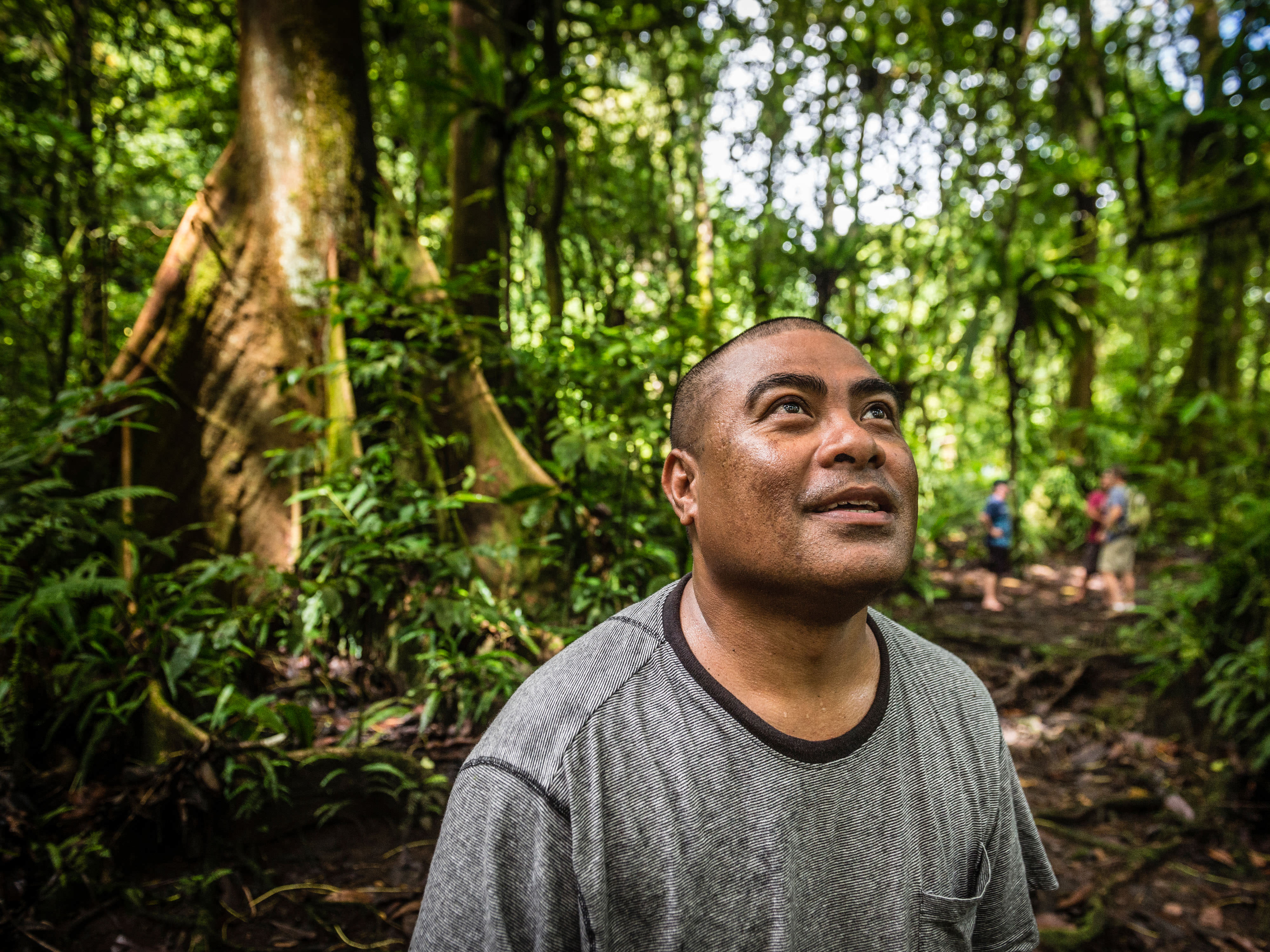 A closeup of a man standing in a forest who is looking up at trees.