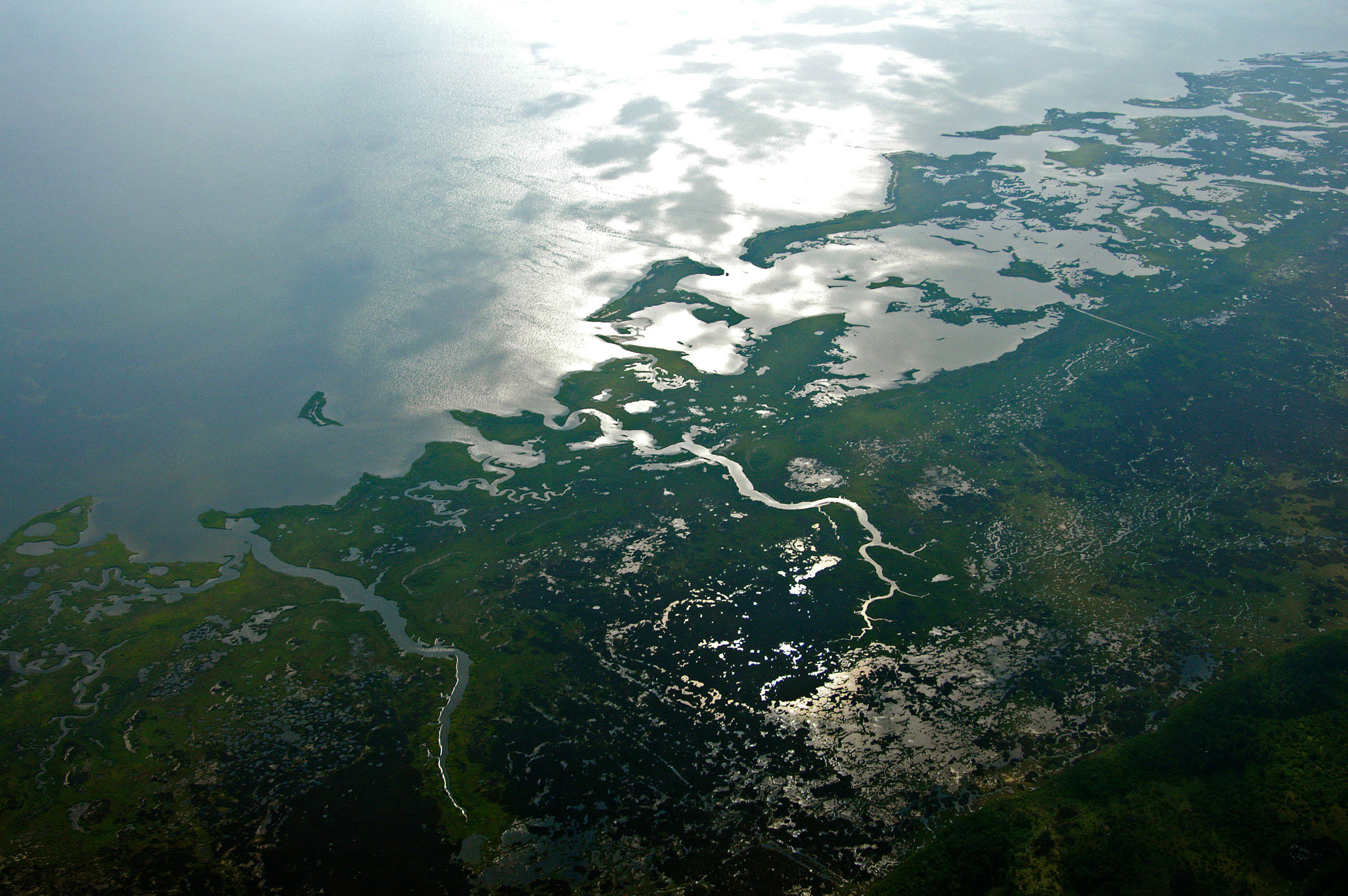 Aerial view of Chesapeake Bay wetlands
