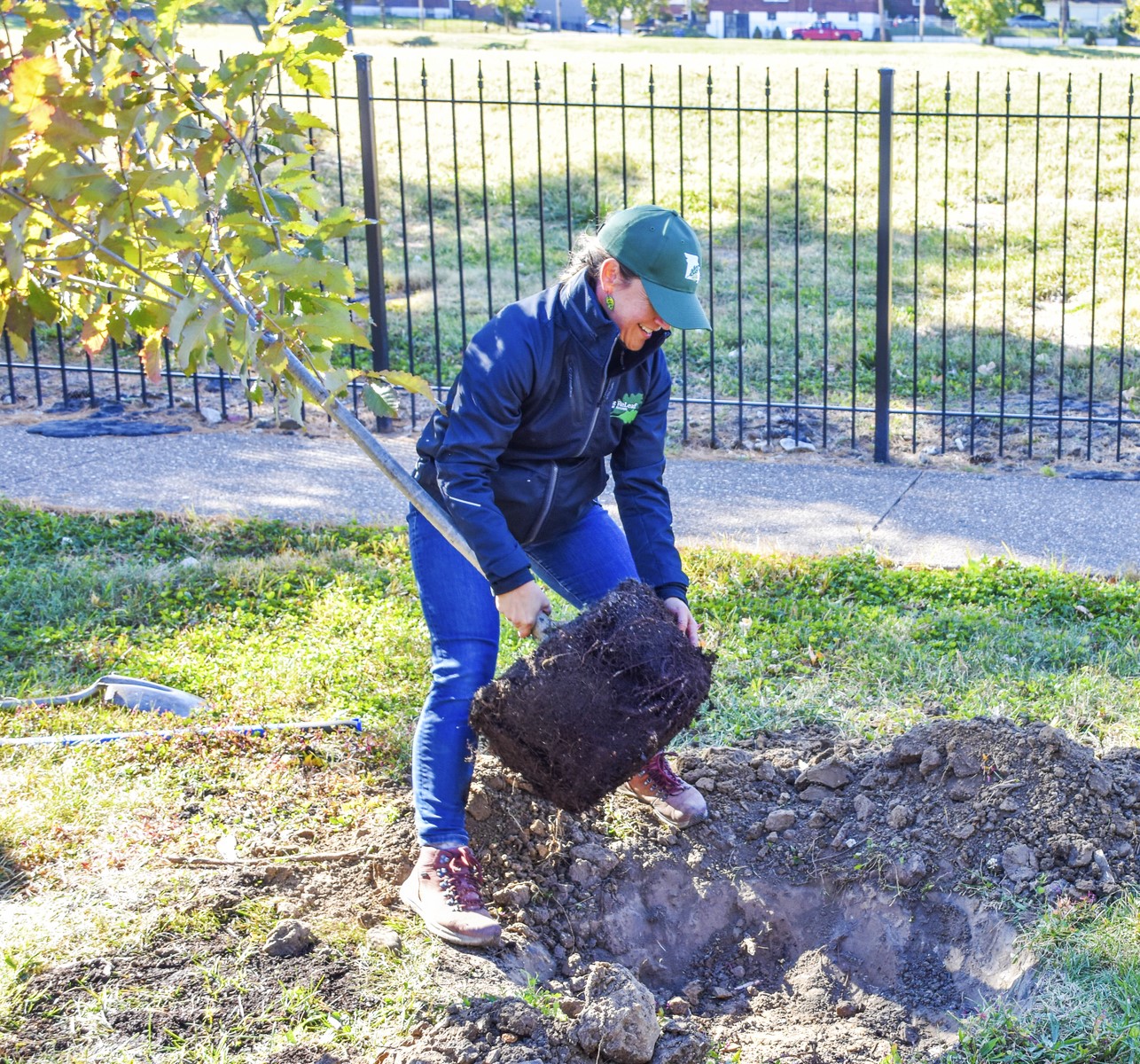 A person wearing a hat and jacket holds a ball of tree roots above a hole in the ground.