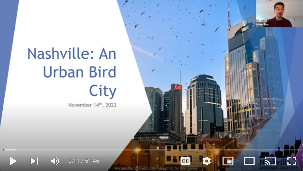 A powerpoint slide includes an image of birds flying around tall buildings.