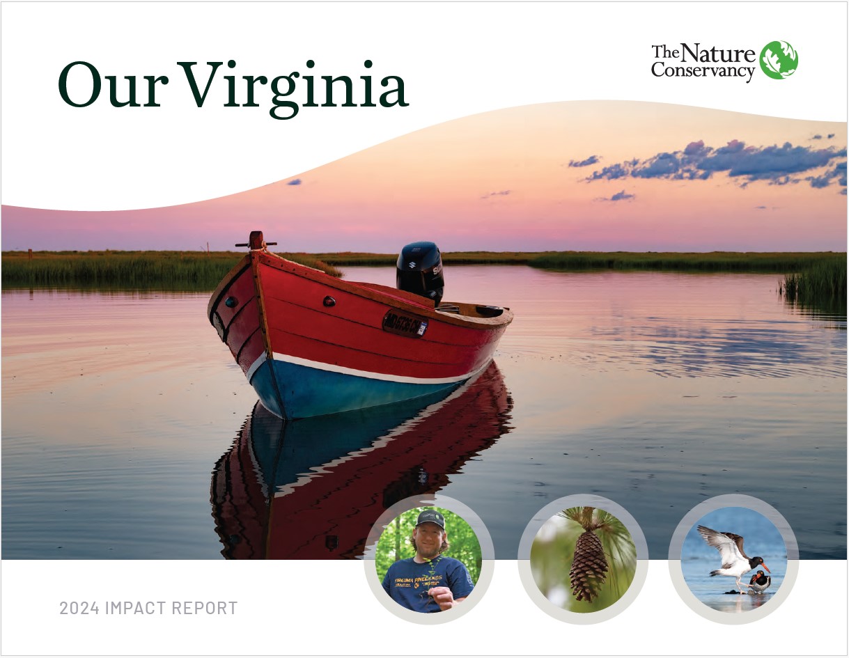 Cover of Virginia's 2024 Impact Report. 